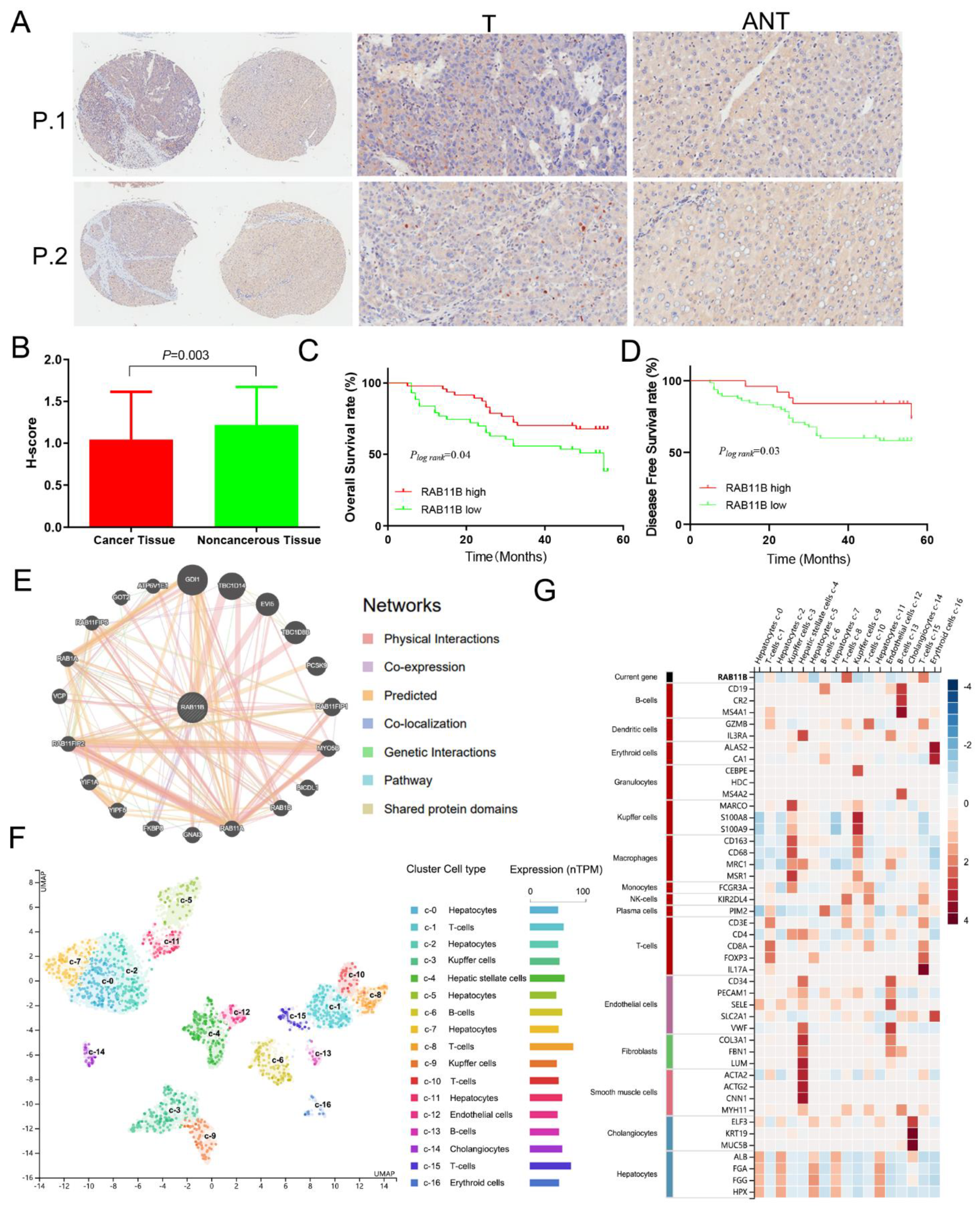 Cells 11 03517 g003 Cells 11 03517 g003
