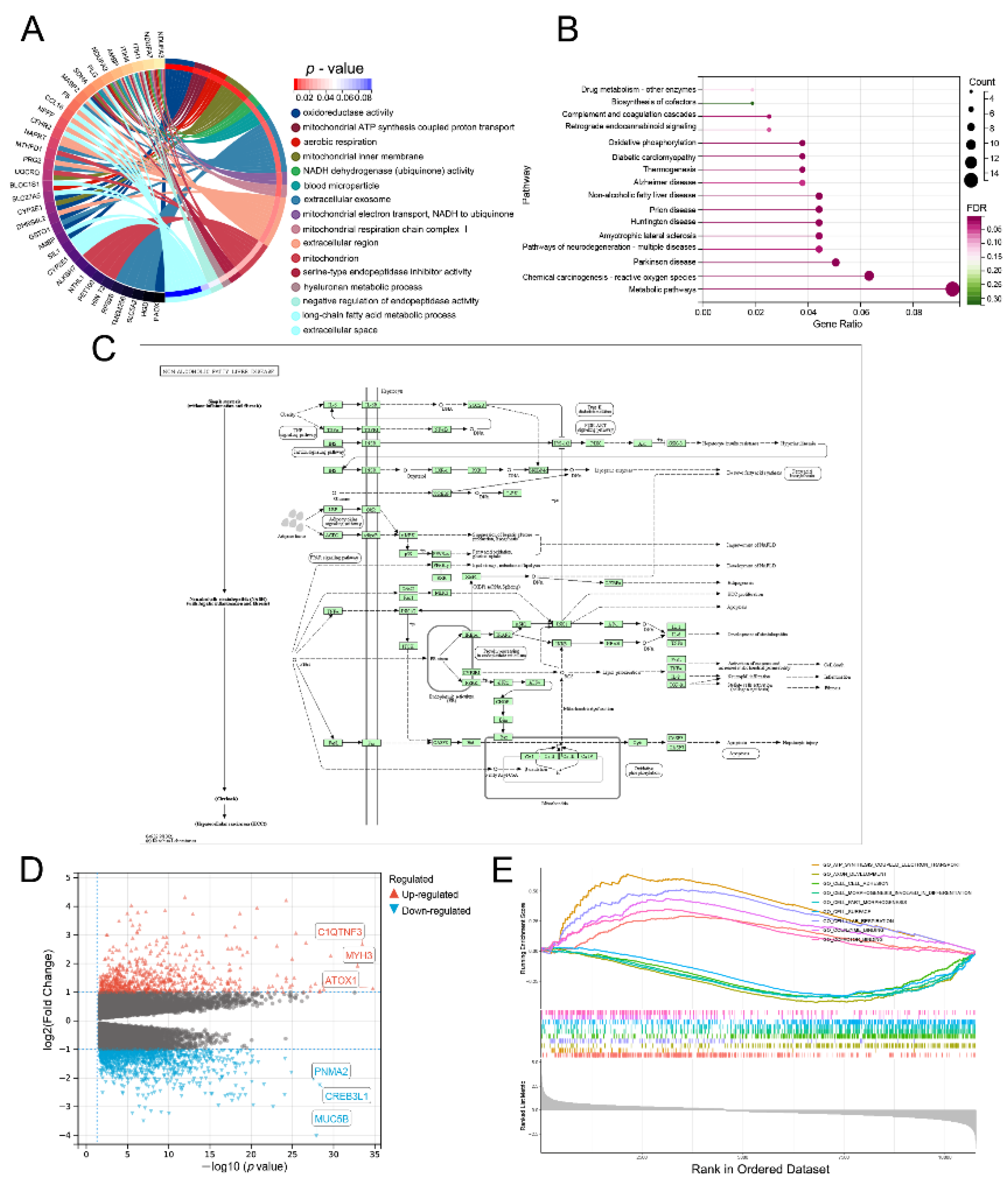 Cells 11 03517 g004 Cells 11 03517 g004