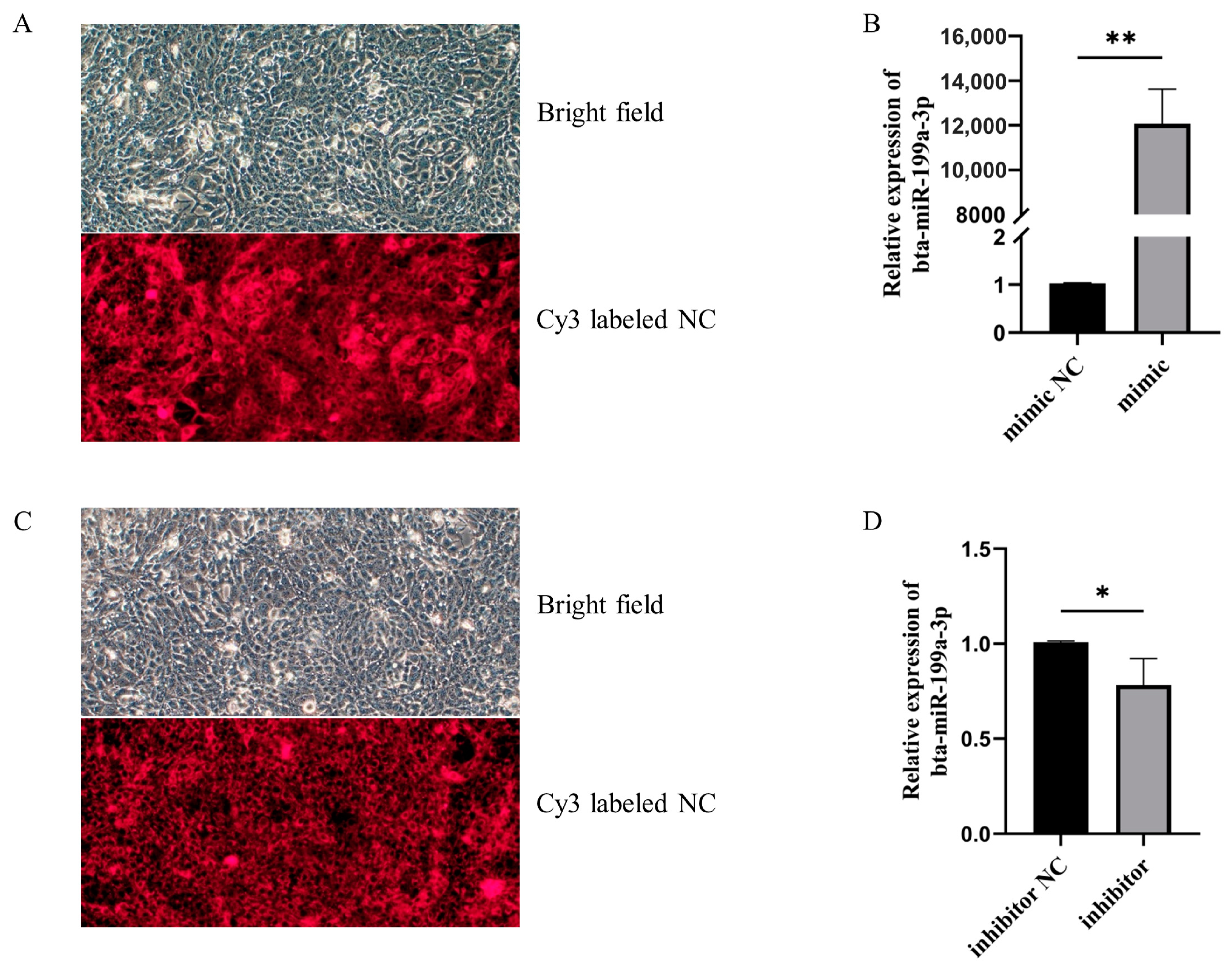 Cells 11 03518 g002 Cells 11 03518 g002