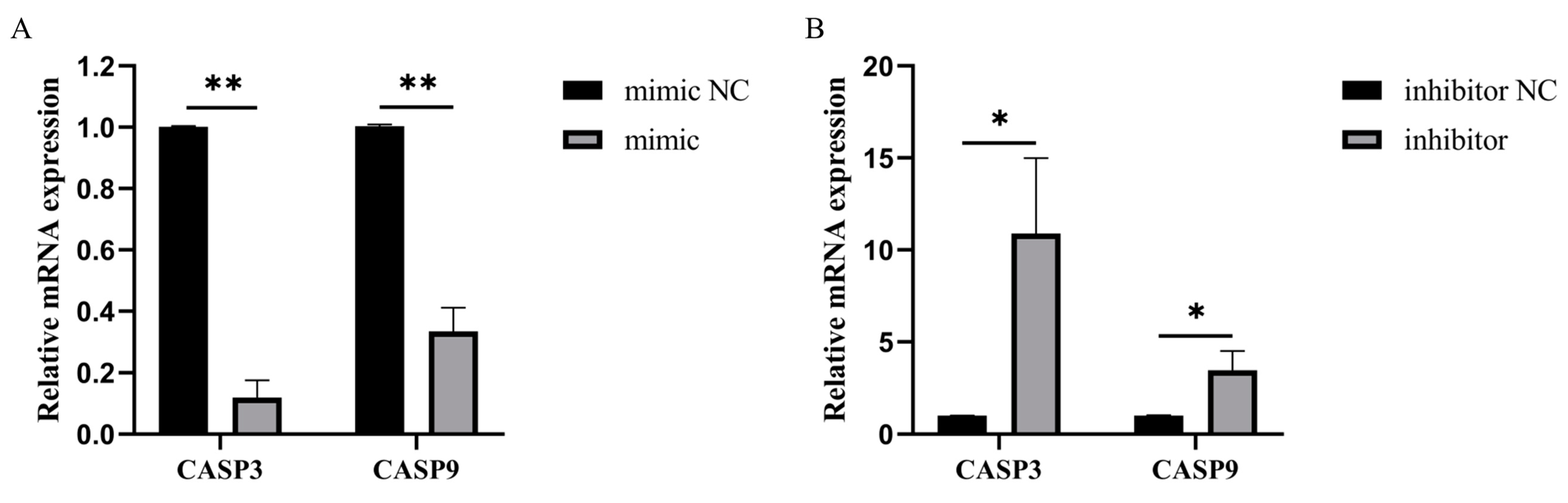 Cells 11 03518 g005 Cells 11 03518 g005