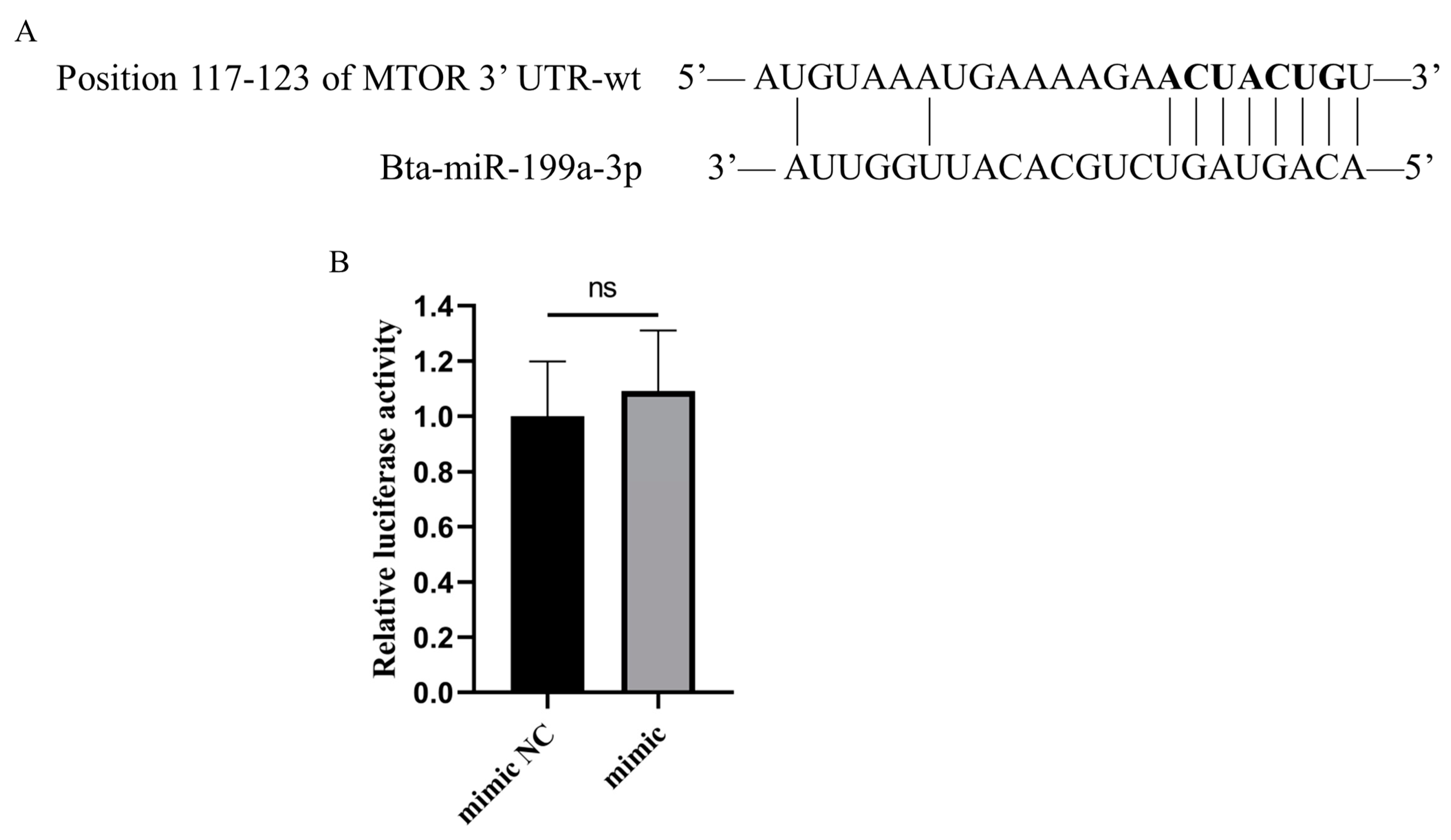 Cells 11 03518 g006 Cells 11 03518 g006
