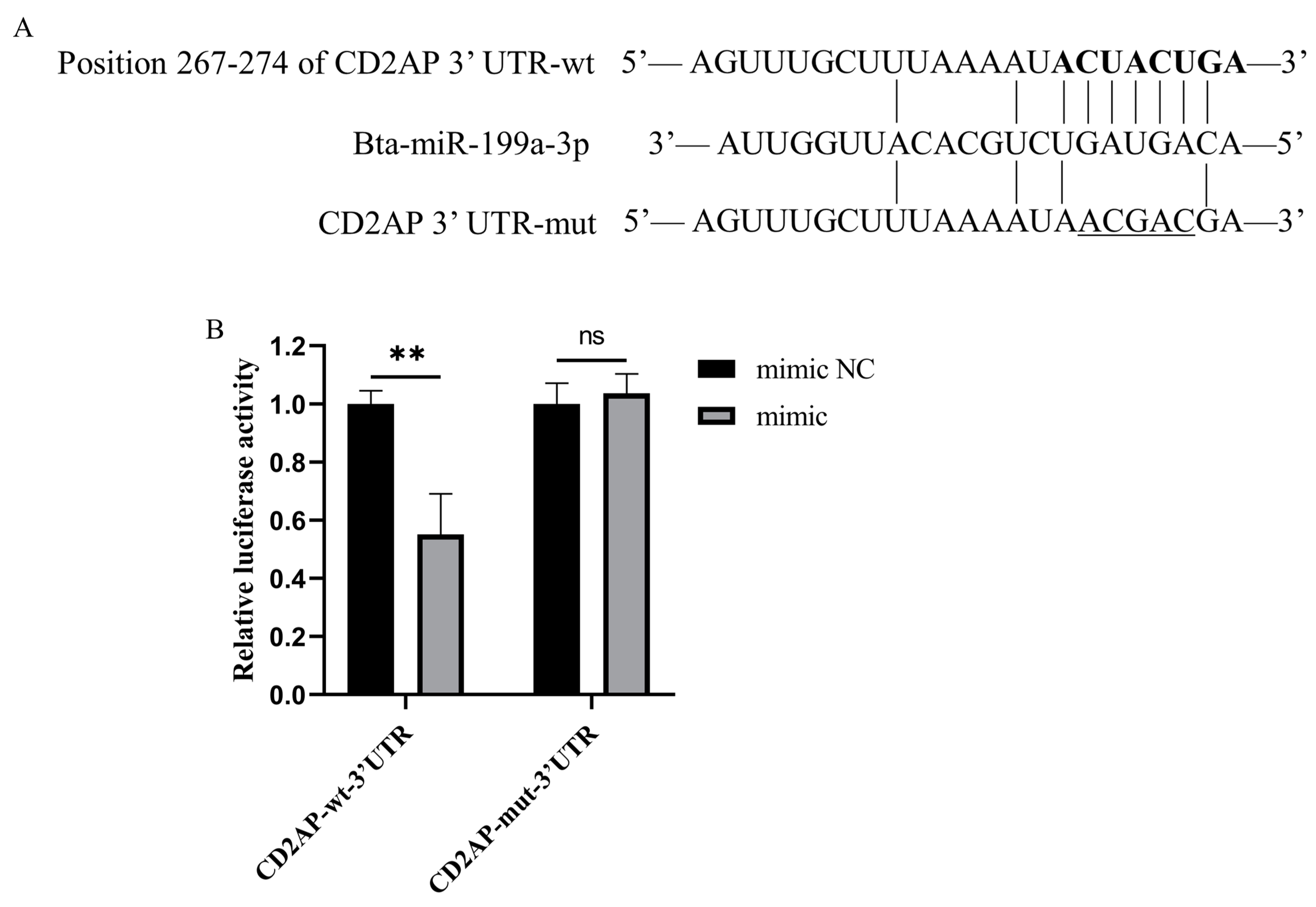 Cells 11 03518 g007 Cells 11 03518 g007
