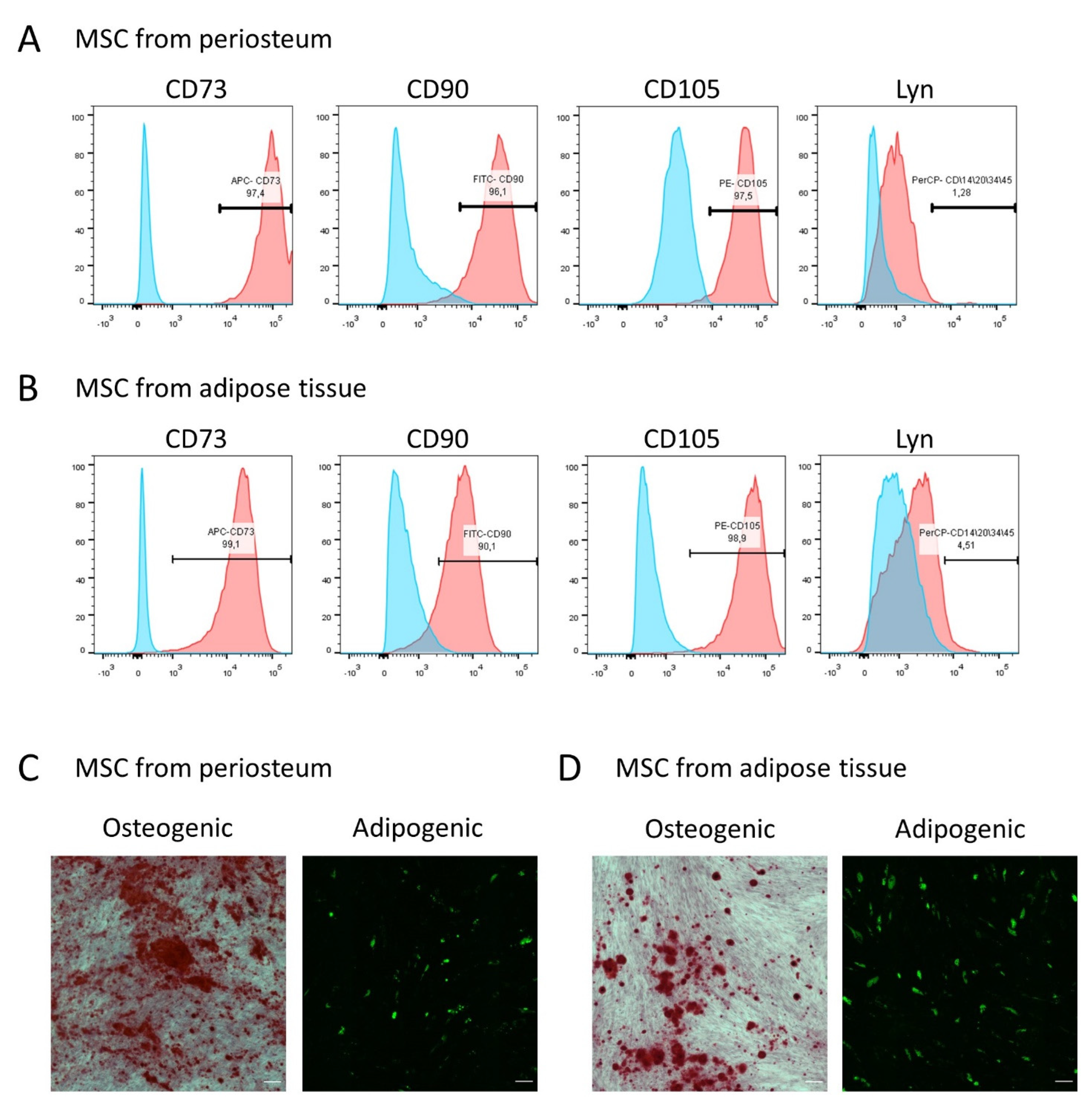 Cells 11 03519 g001 Cells 11 03519 g001