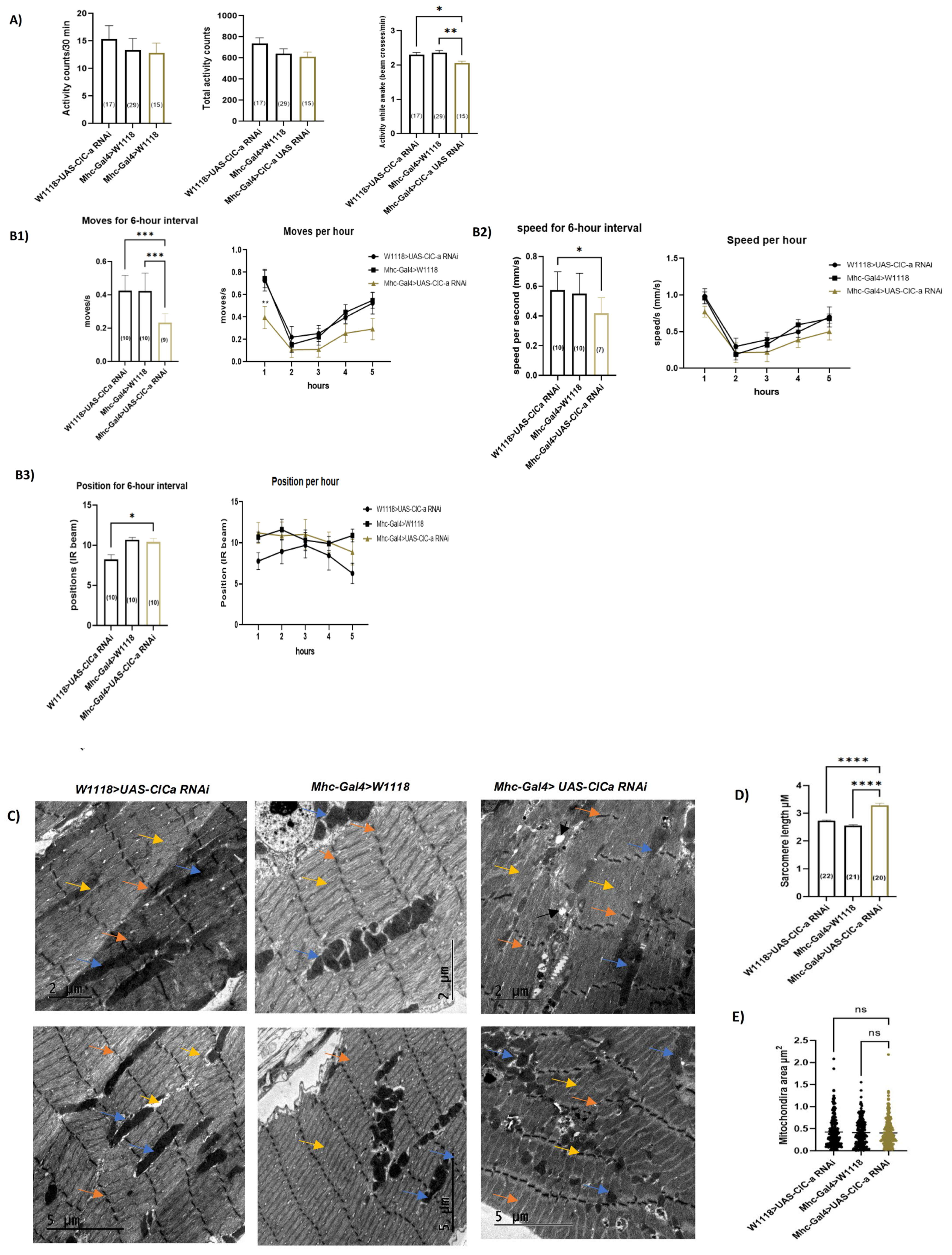 Cells 11 03528 g006a