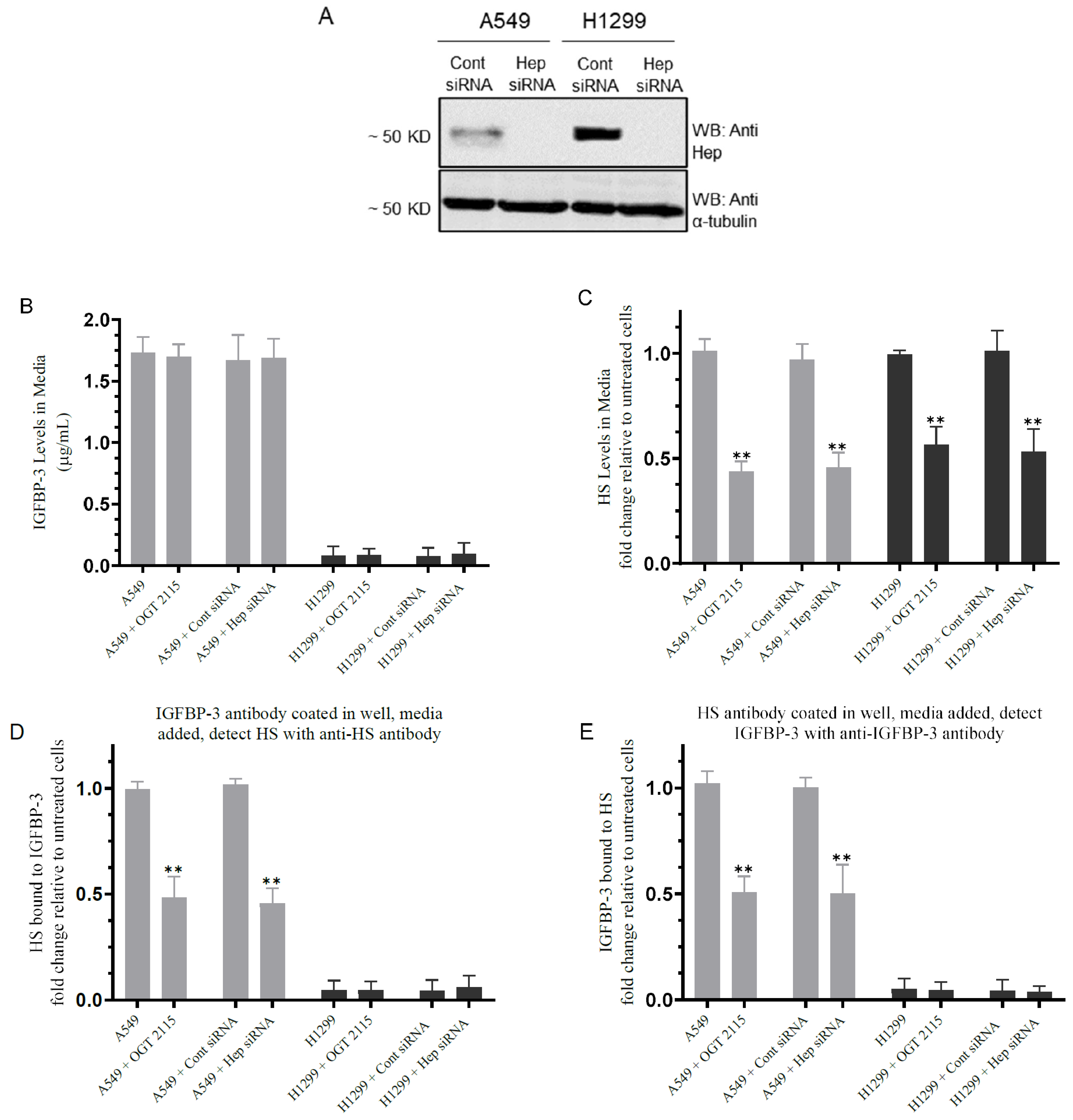 Cells 11 03533 g002 Cells 11 03533 g002