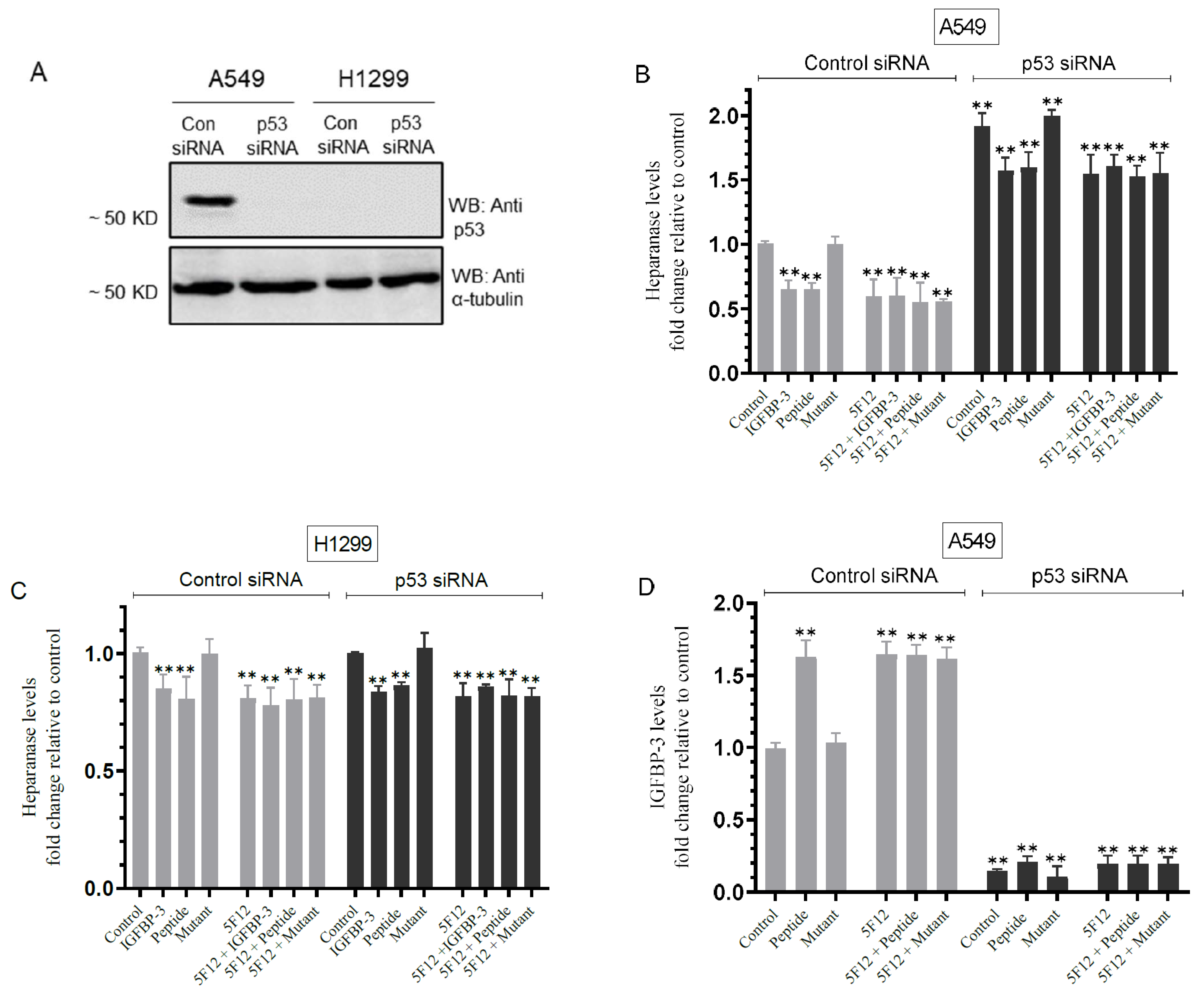 Cells 11 03533 g006 Cells 11 03533 g006
