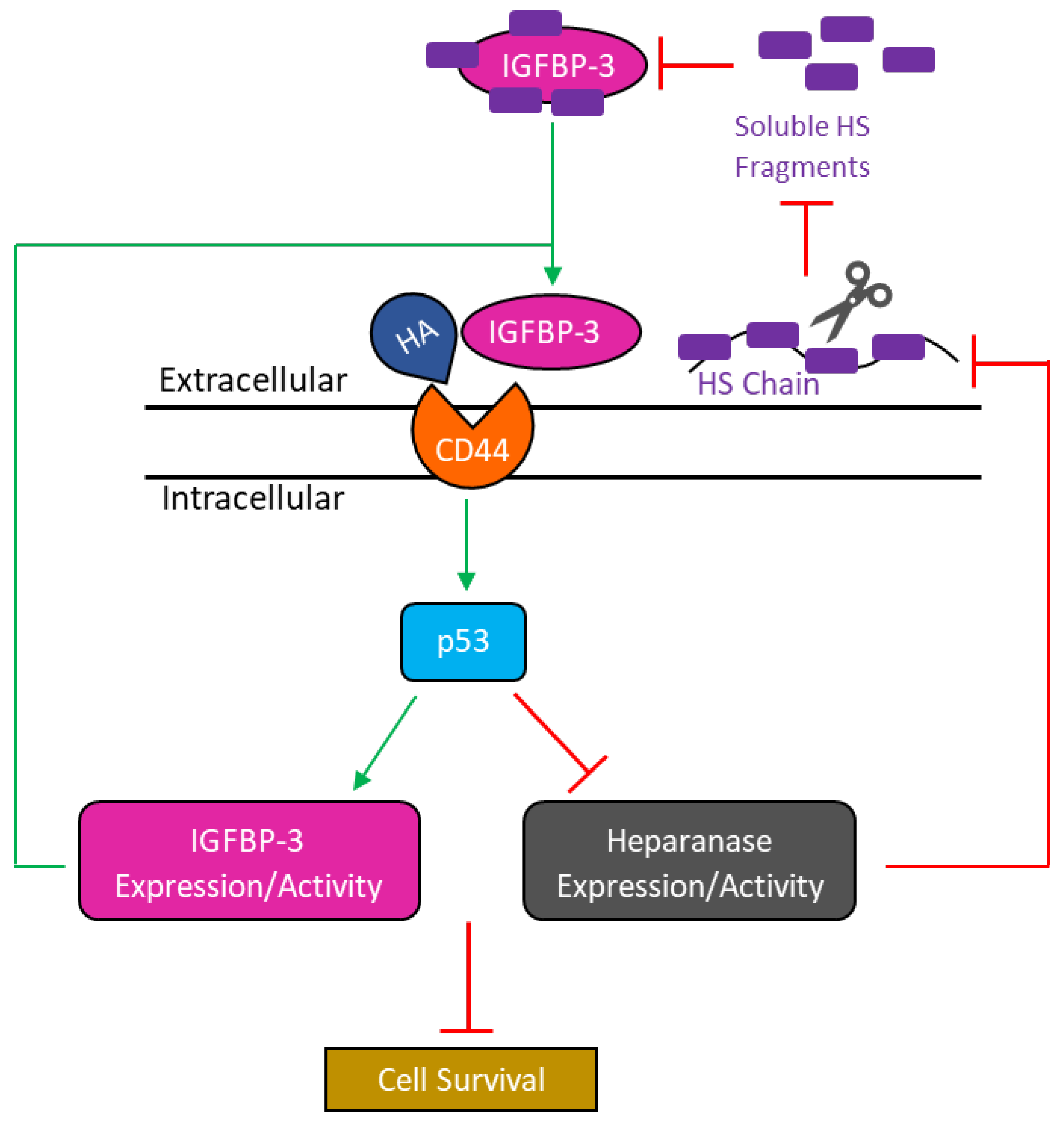 Cells 11 03533 g008 Cells 11 03533 g008