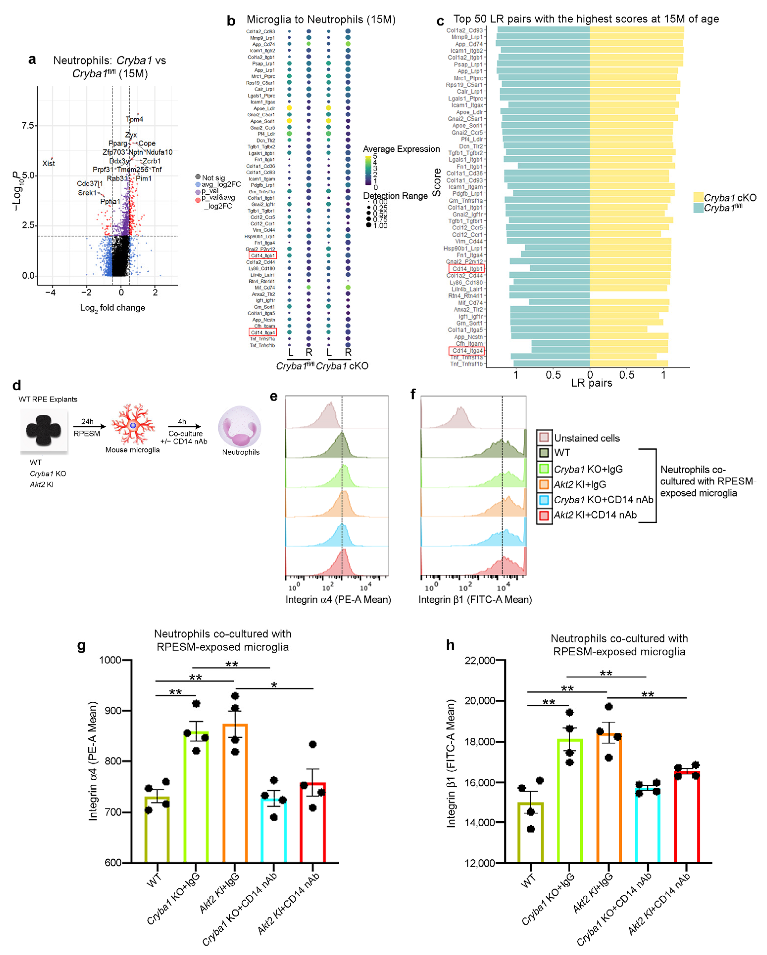Cells 11 03535 g005 Cells 11 03535 g005