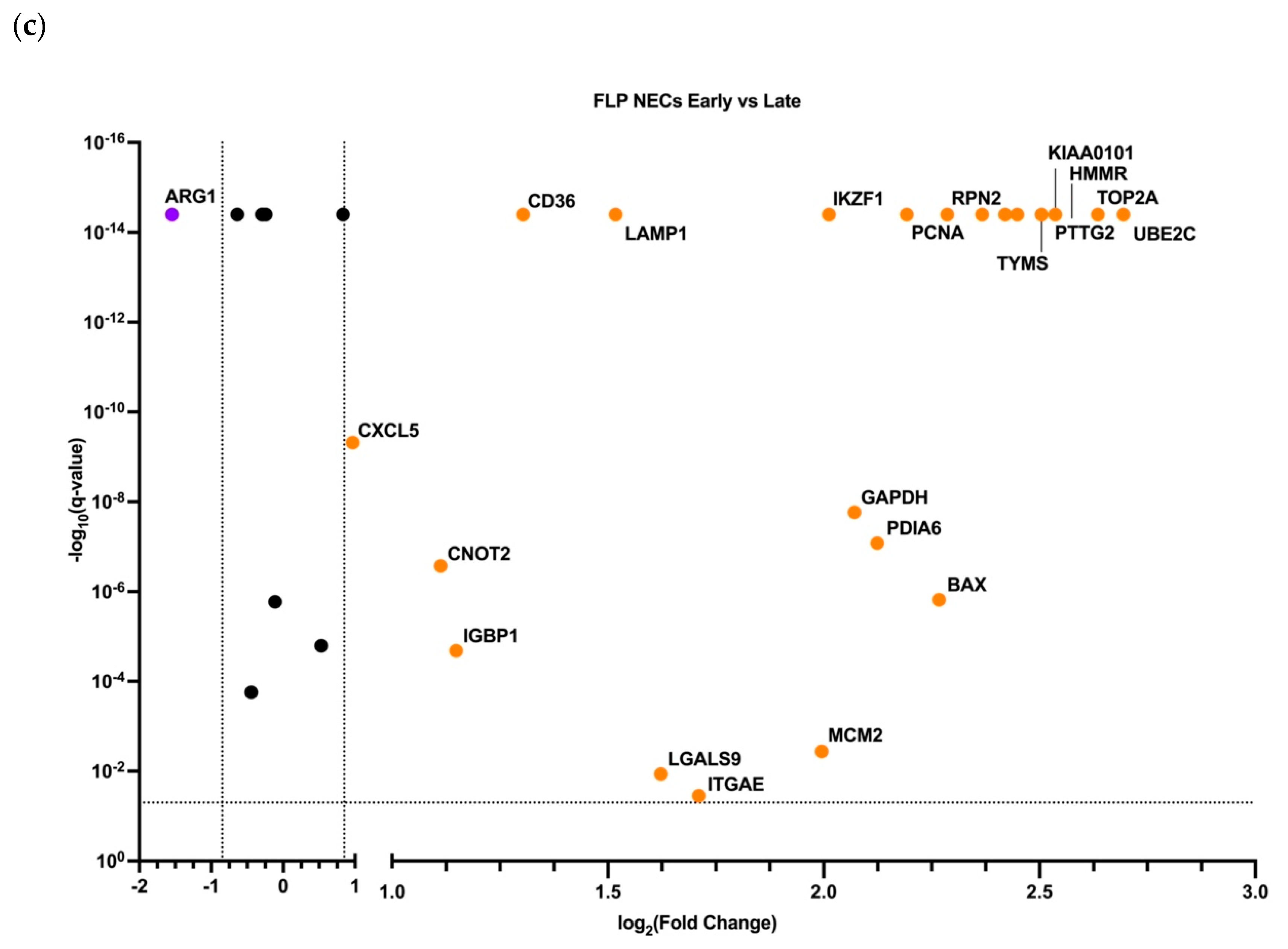 Cells 11 03537 g004b Cells 11 03537 g004b