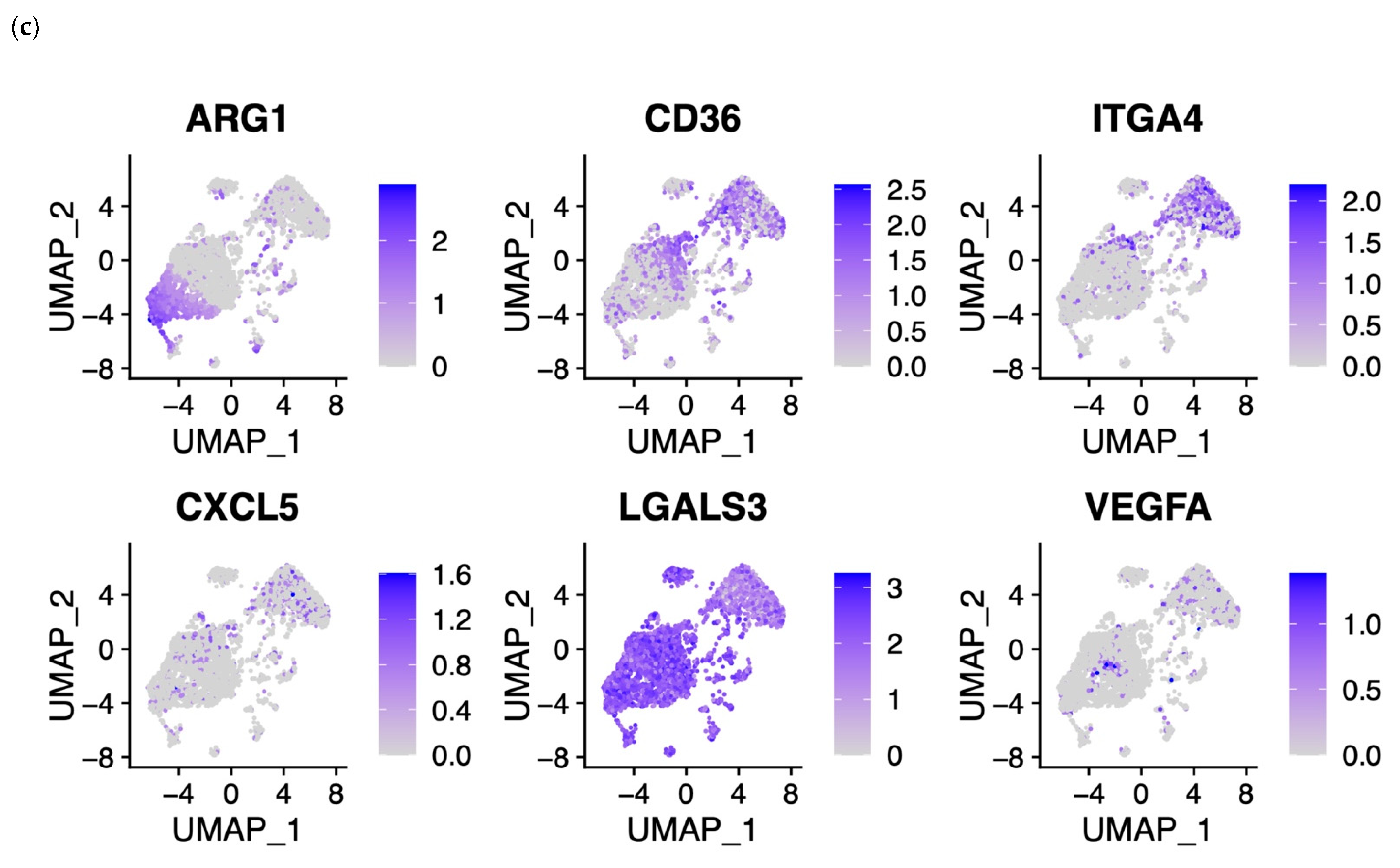 Cells 11 03537 g006b Cells 11 03537 g006b