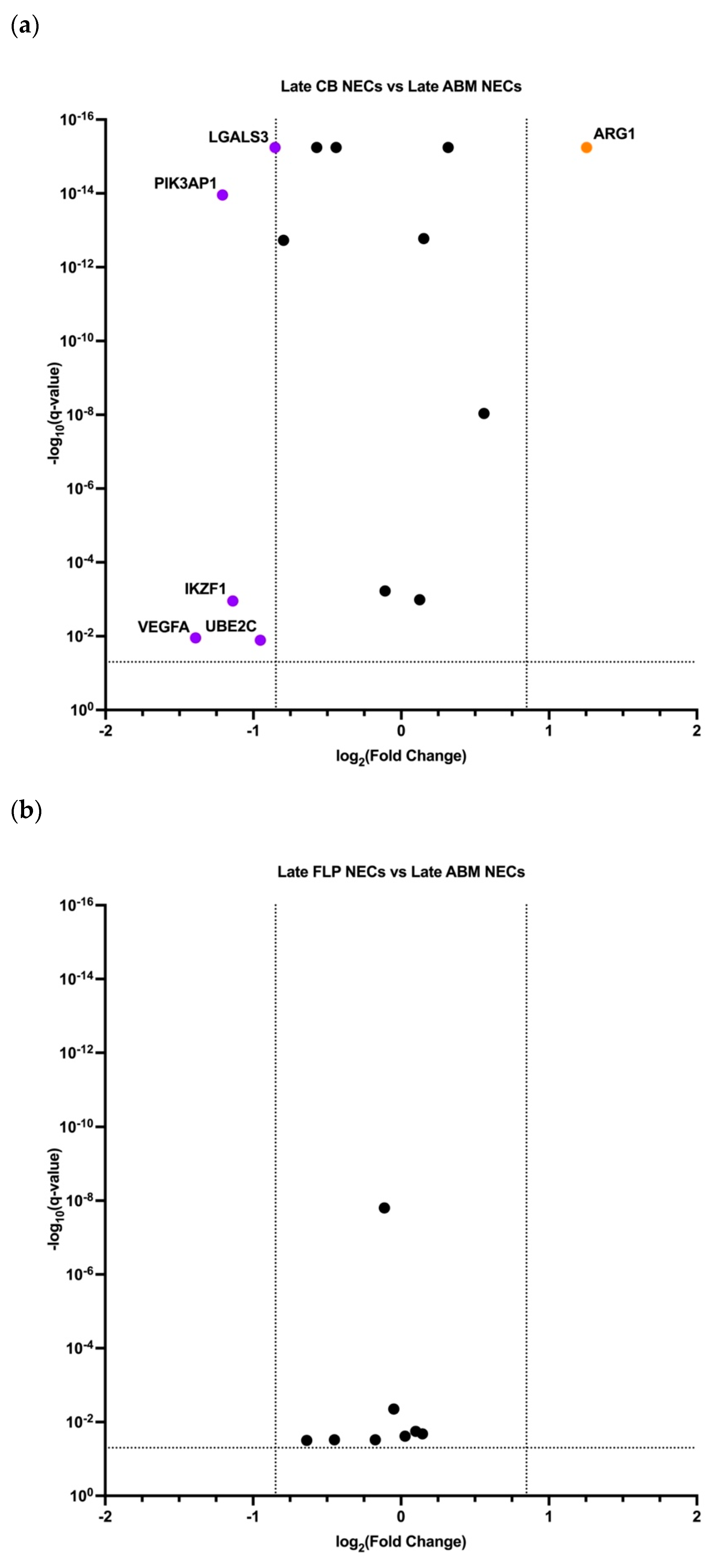 Cells 11 03537 g008a Cells 11 03537 g008a