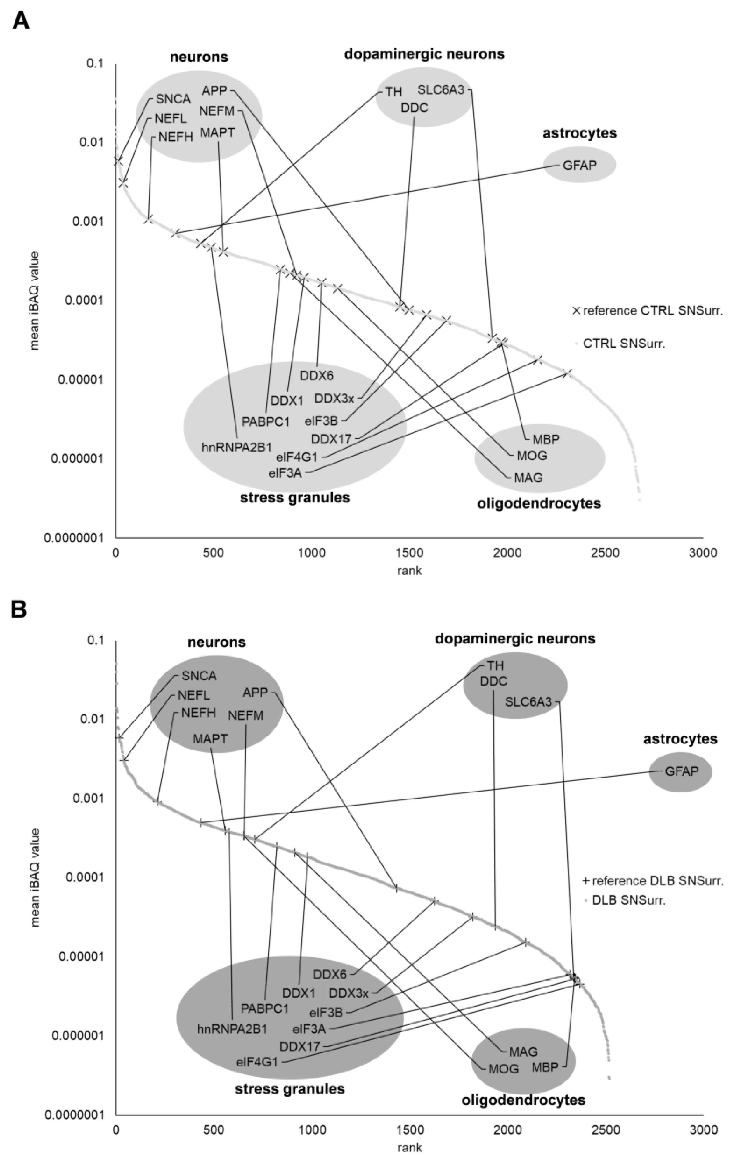 Cells 11 03538 g002 Cells 11 03538 g002