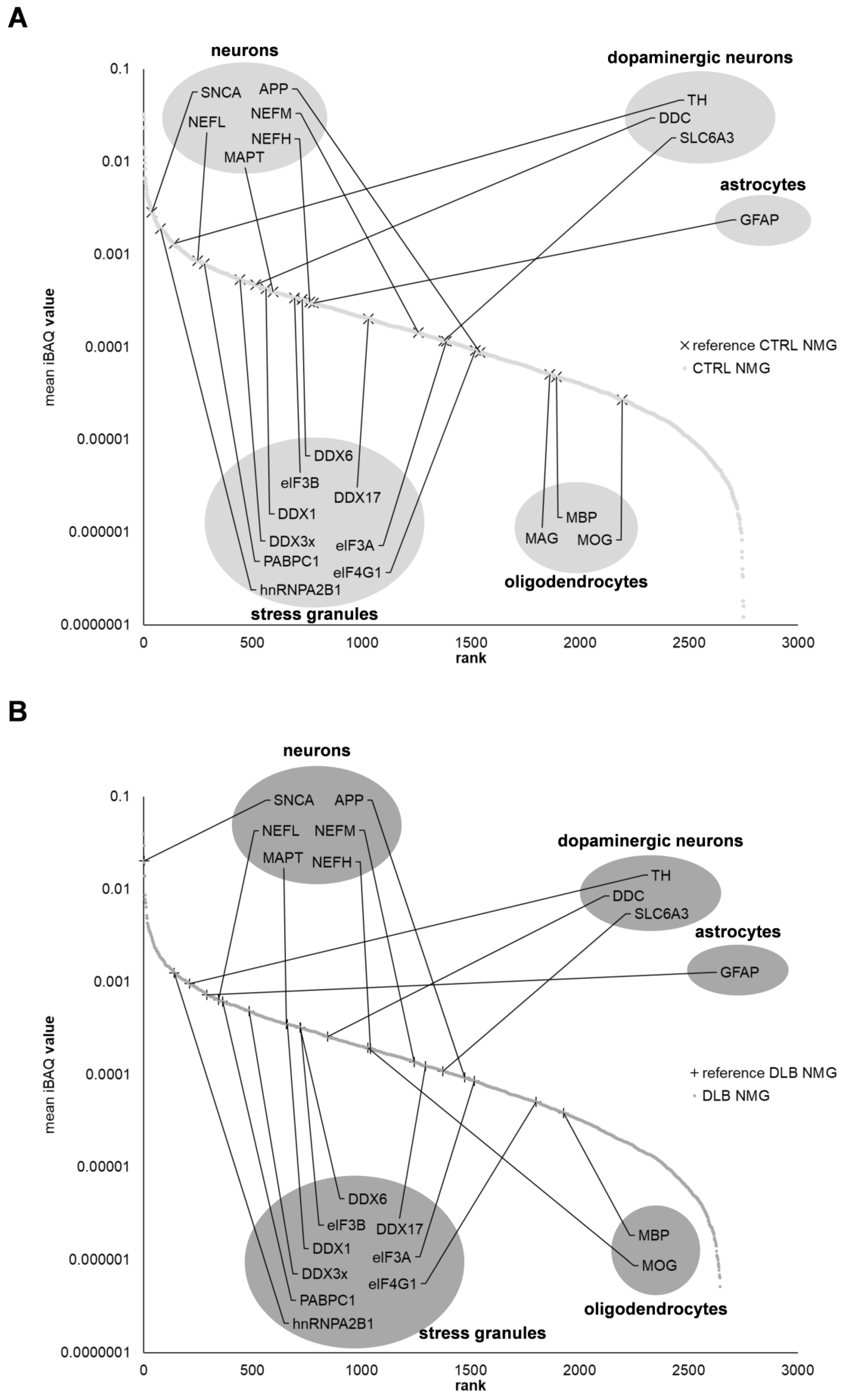 Cells 11 03538 g004 Cells 11 03538 g004