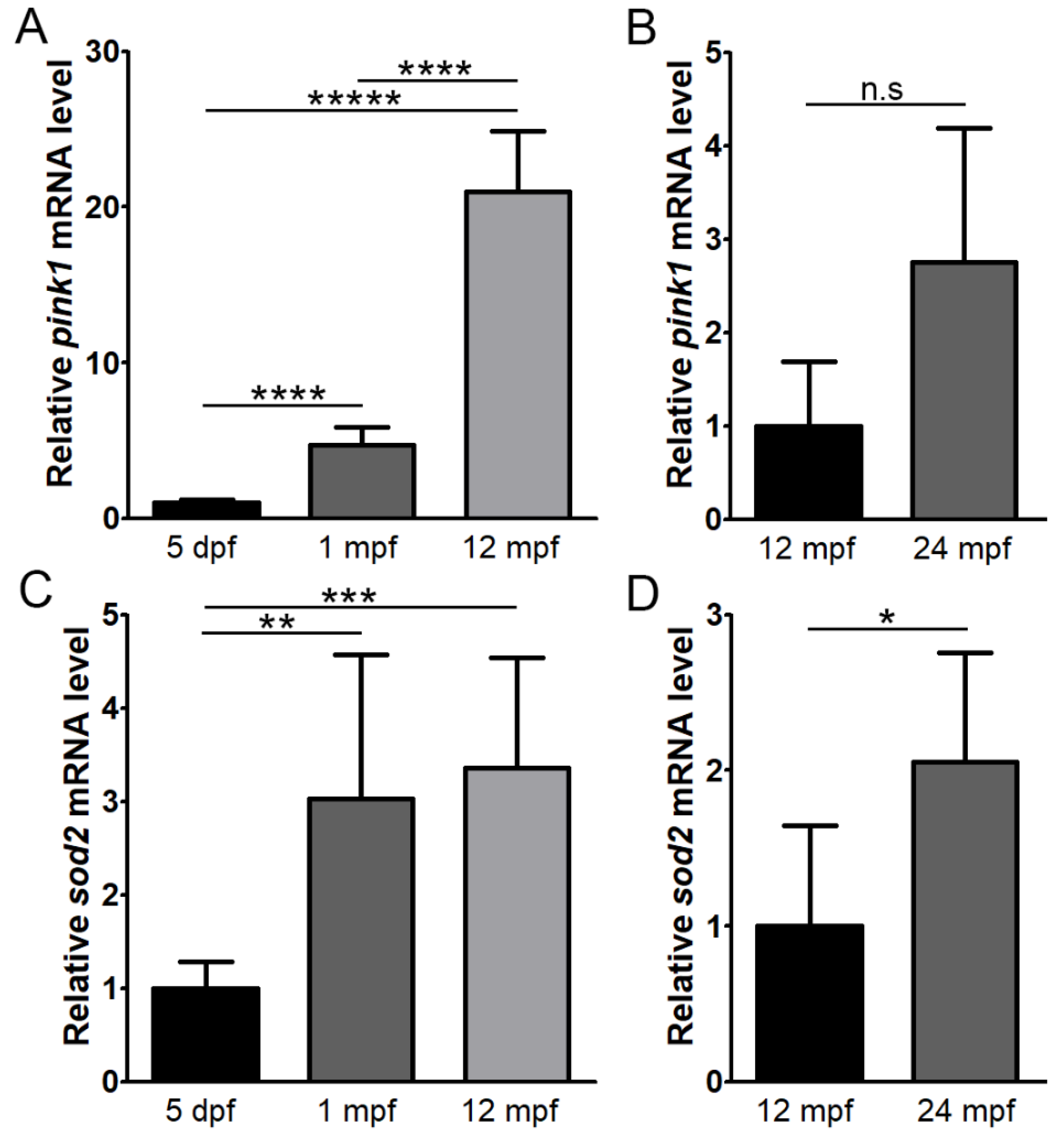 Cells 11 03542 g007 Cells 11 03542 g007