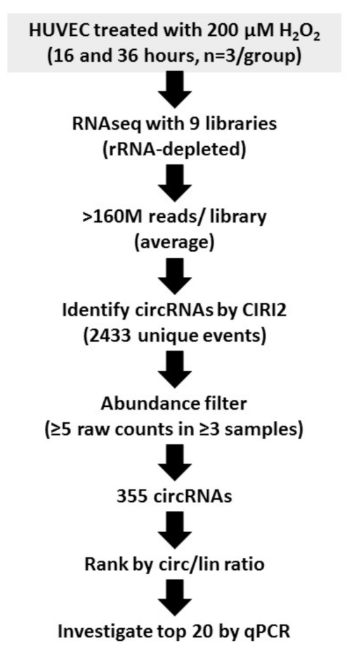 Cells 11 03546 g001 Cells 11 03546 g001