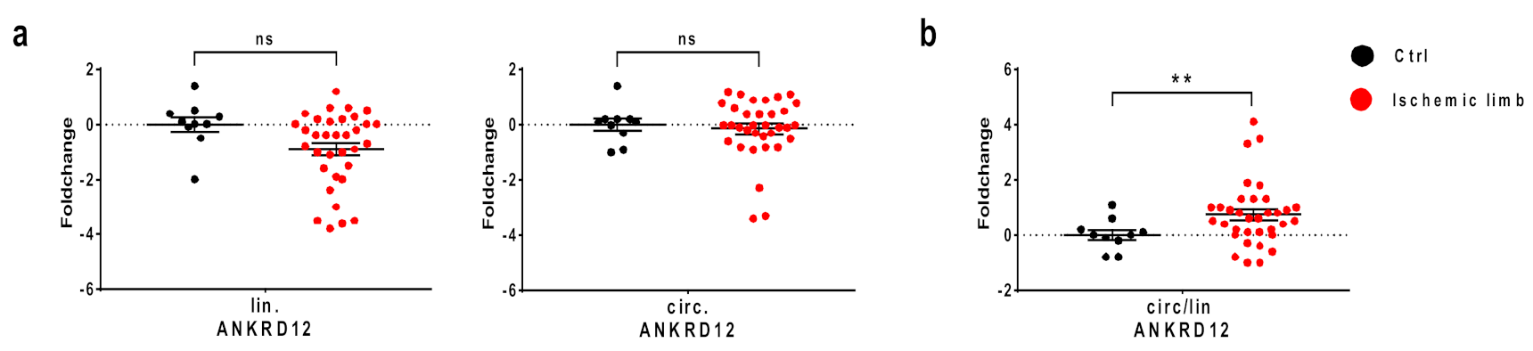 Cells 11 03546 g005 Cells 11 03546 g005