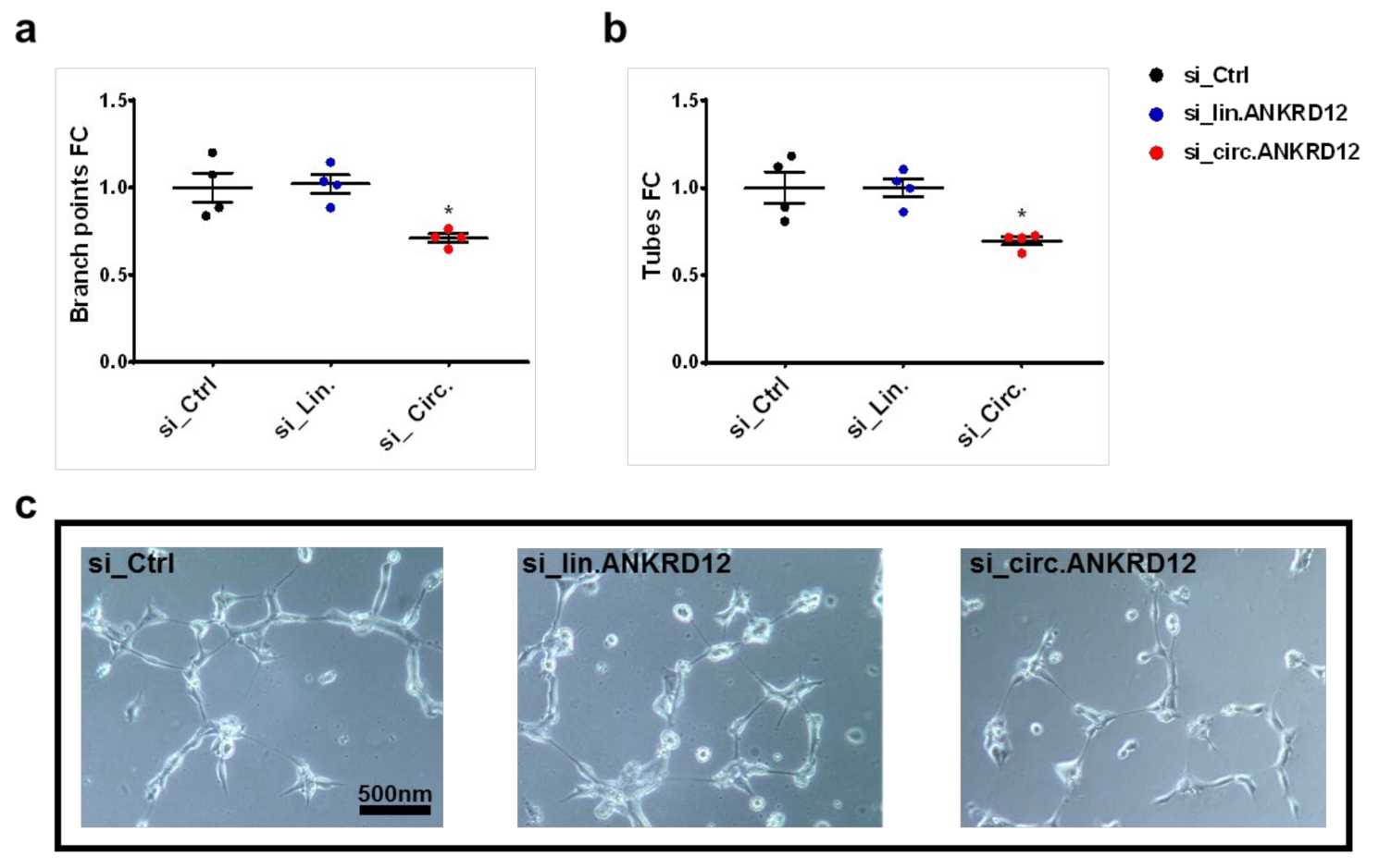 Cells 11 03546 g006 Cells 11 03546 g006