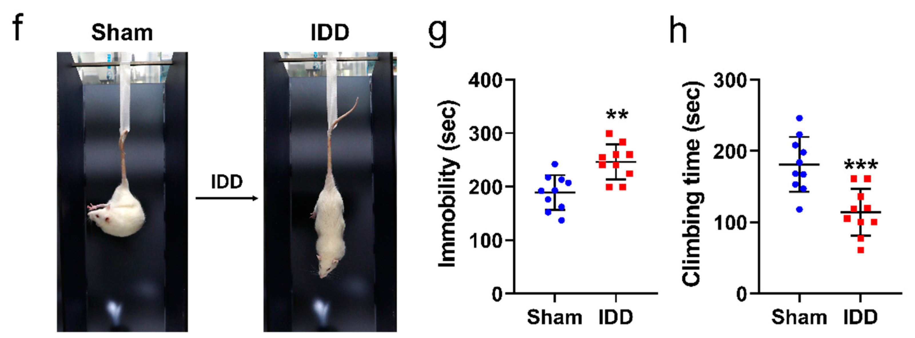 Cells 11 03547 g001b Cells 11 03547 g001b