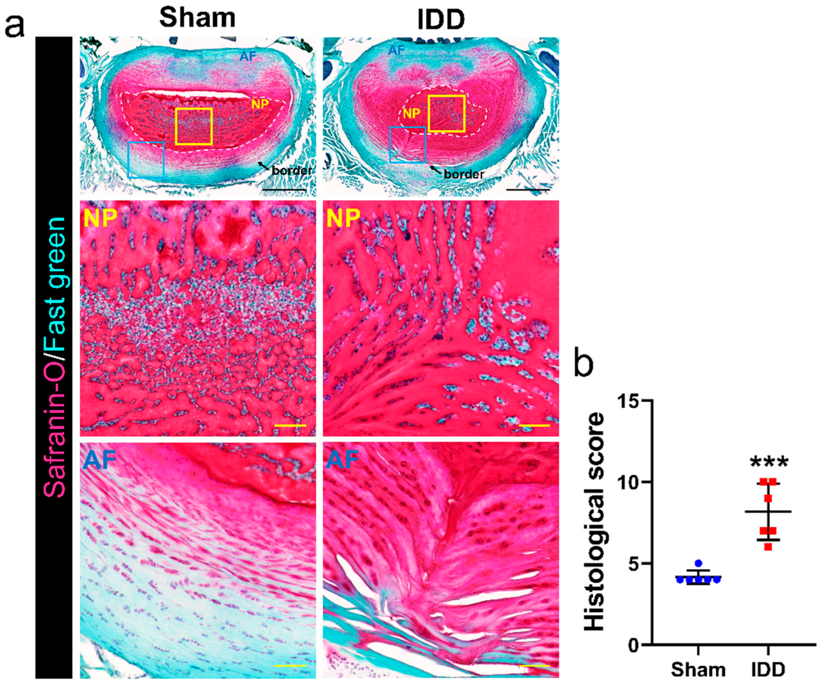 Cells 11 03547 g002 Cells 11 03547 g002