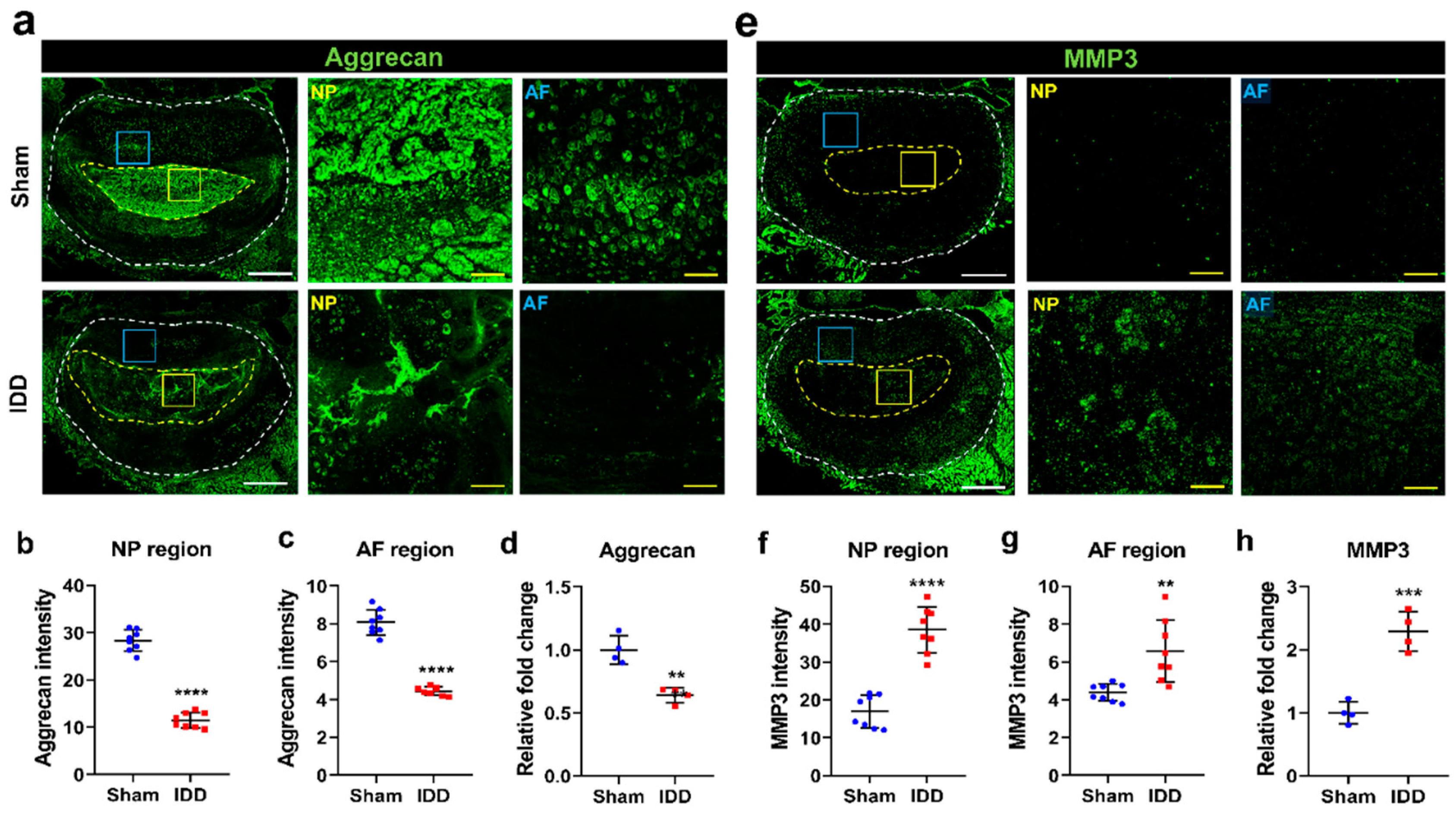 Cells 11 03547 g003 Cells 11 03547 g003