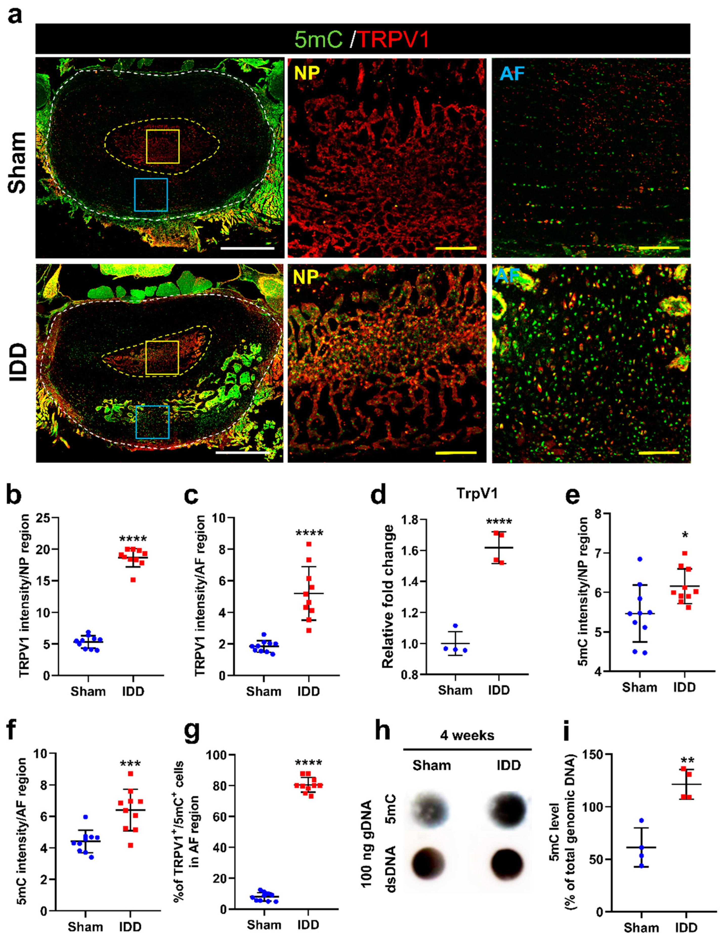 Cells 11 03547 g004 Cells 11 03547 g004