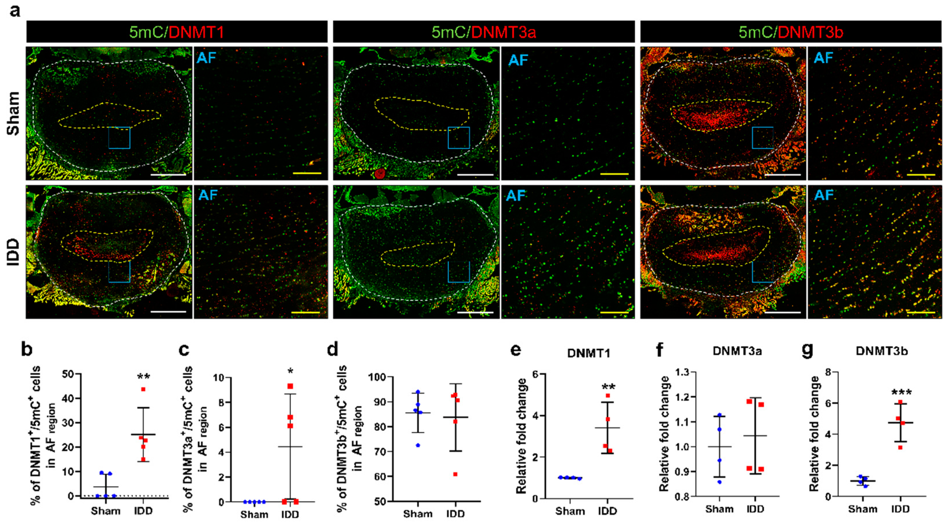 Cells 11 03547 g005 Cells 11 03547 g005