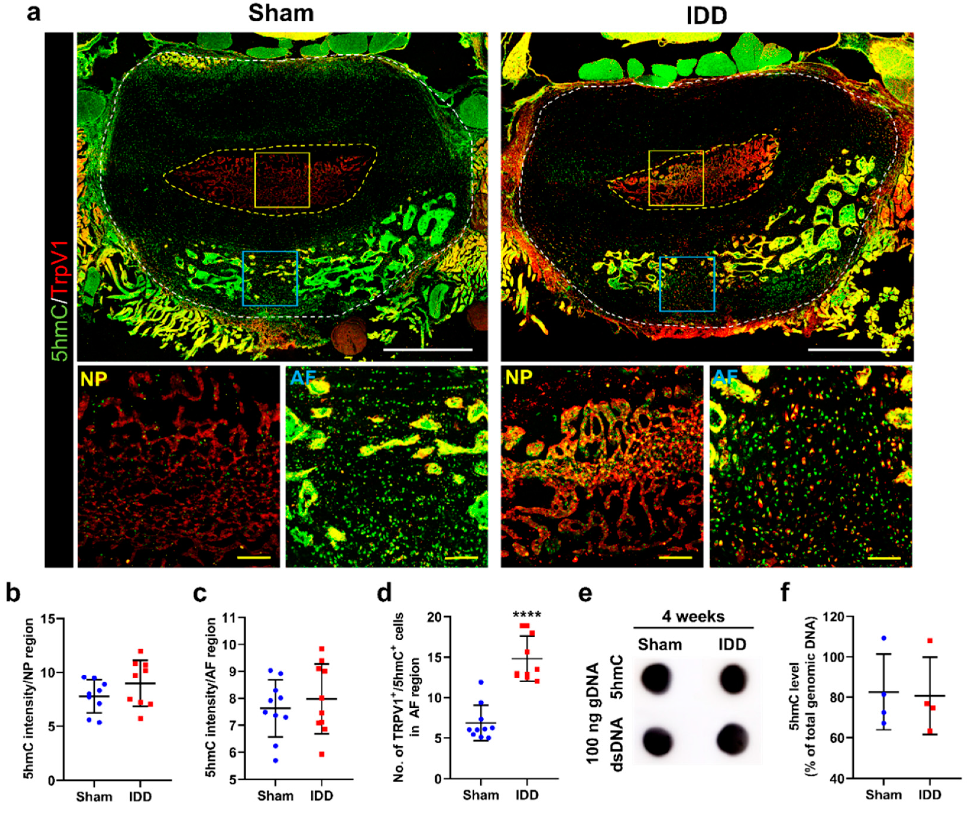 Cells 11 03547 g006 Cells 11 03547 g006