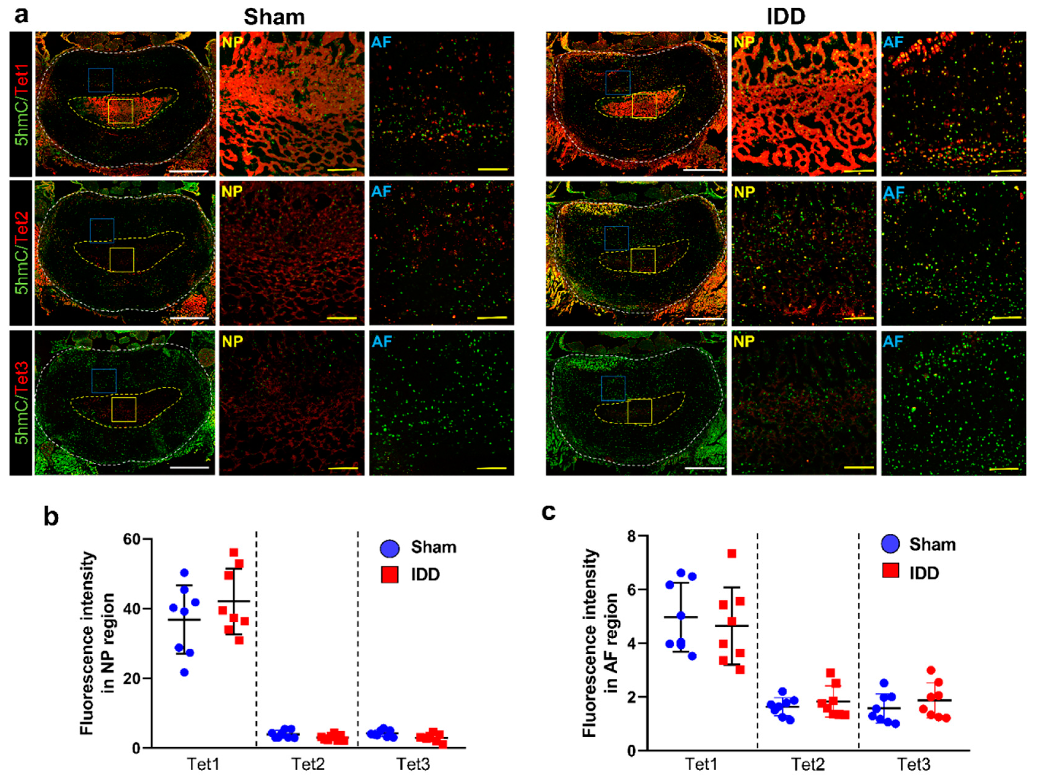 Cells 11 03547 g007 Cells 11 03547 g007