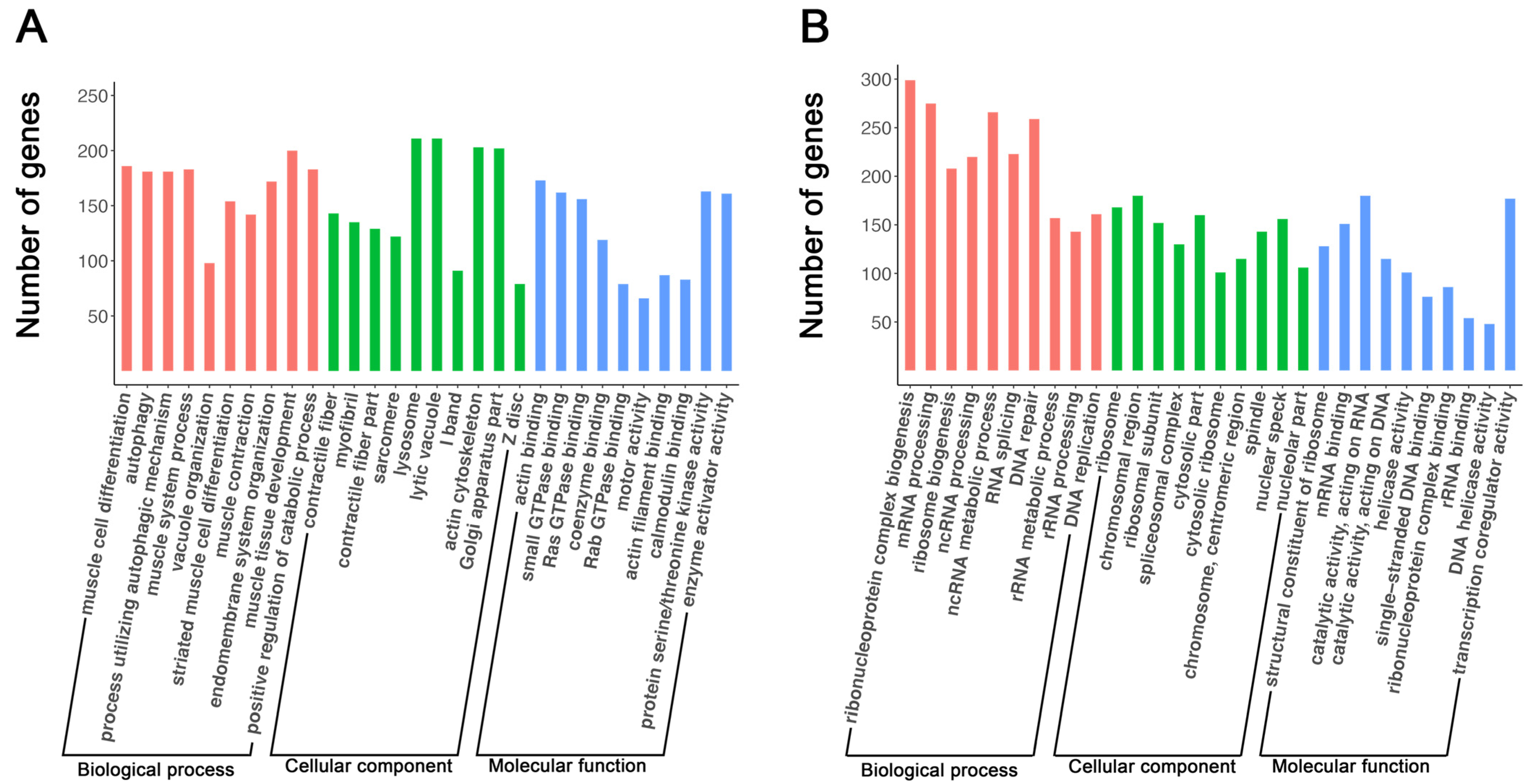 Cells 11 03549 g002 Cells 11 03549 g002