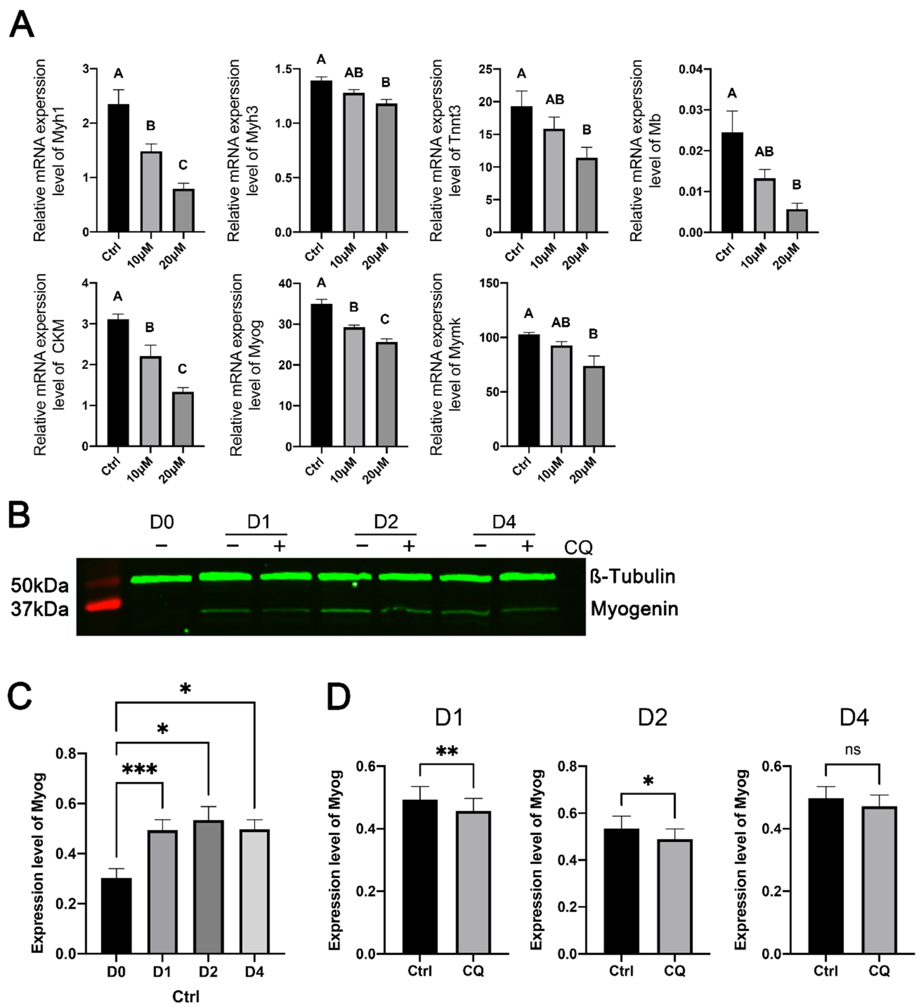 Cells 11 03549 g006 Cells 11 03549 g006