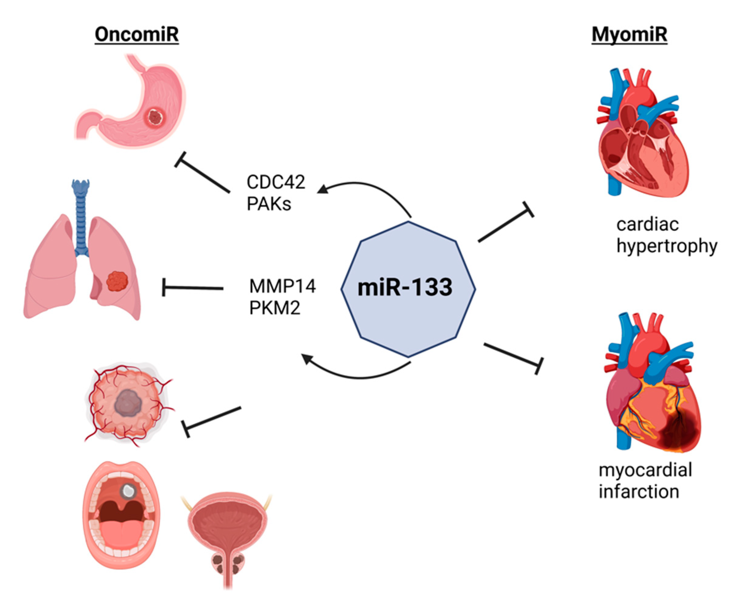 Cells 11 03551 g001 Cells 11 03551 g001