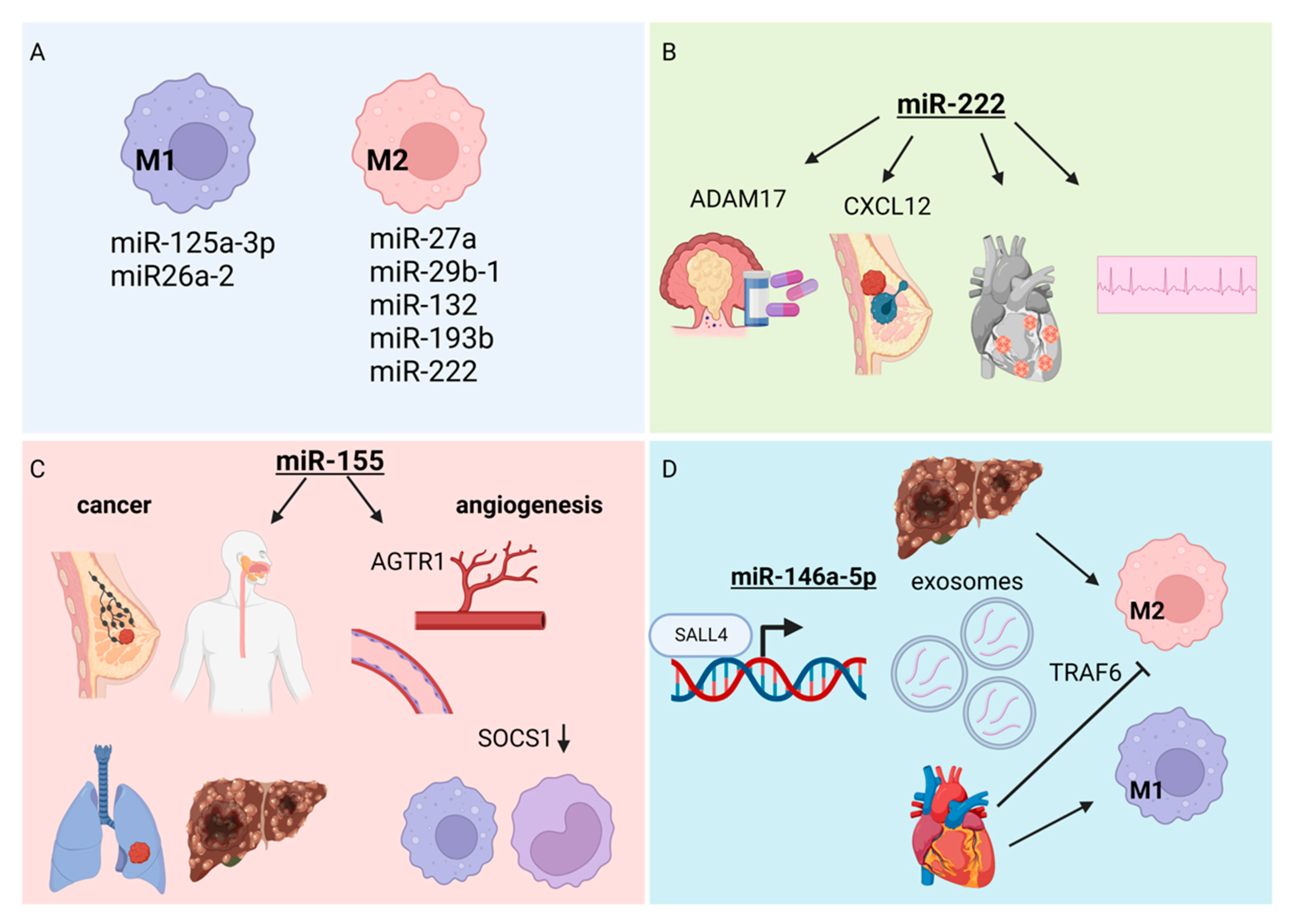 Cells 11 03551 g003 Cells 11 03551 g003