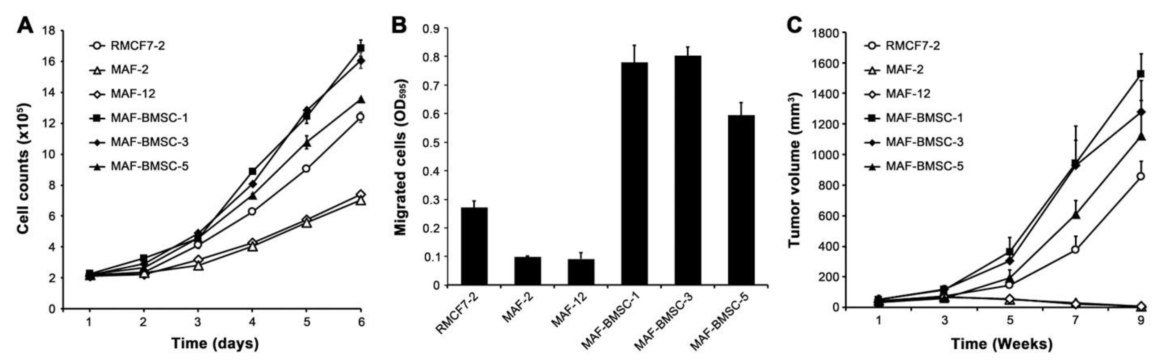 Cells 11 03553 g007 Cells 11 03553 g007