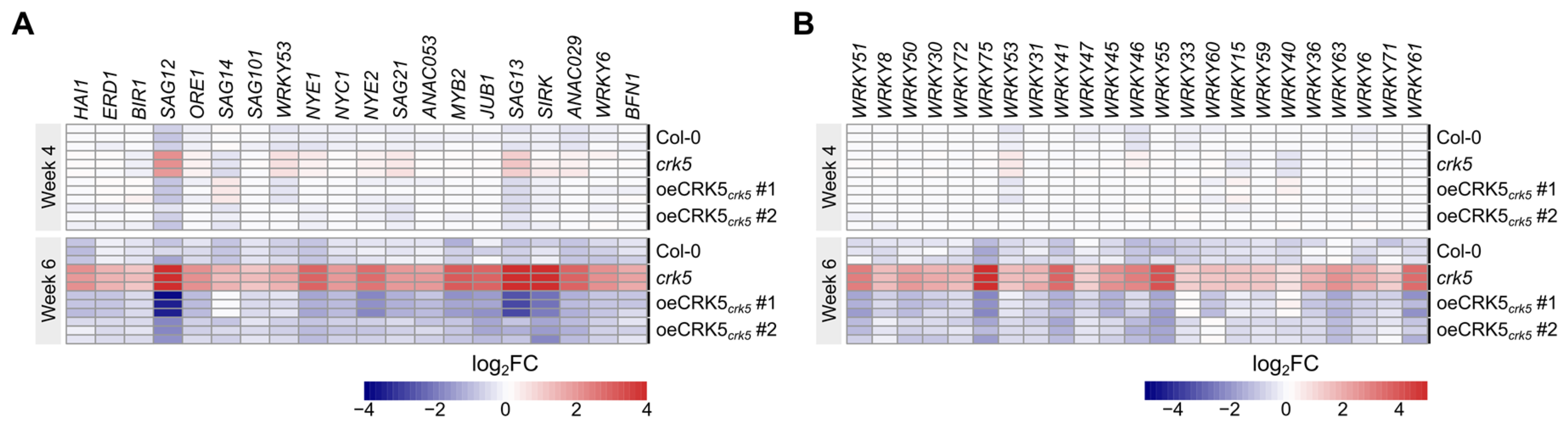 Cells 11 03558 g001 Cells 11 03558 g001