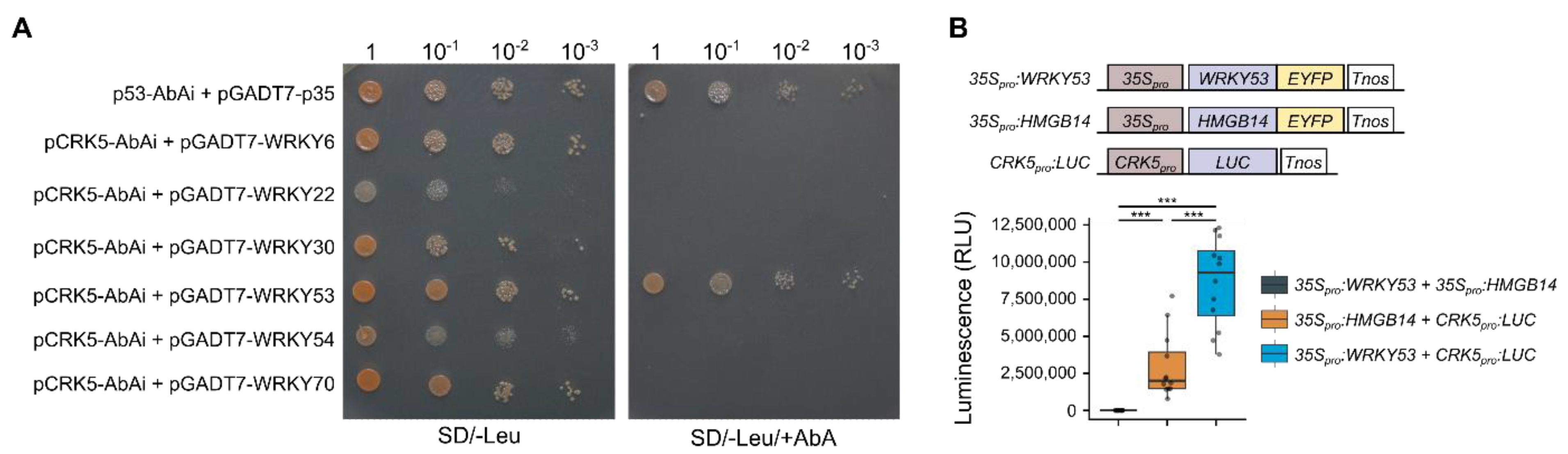 Cells 11 03558 g002 Cells 11 03558 g002