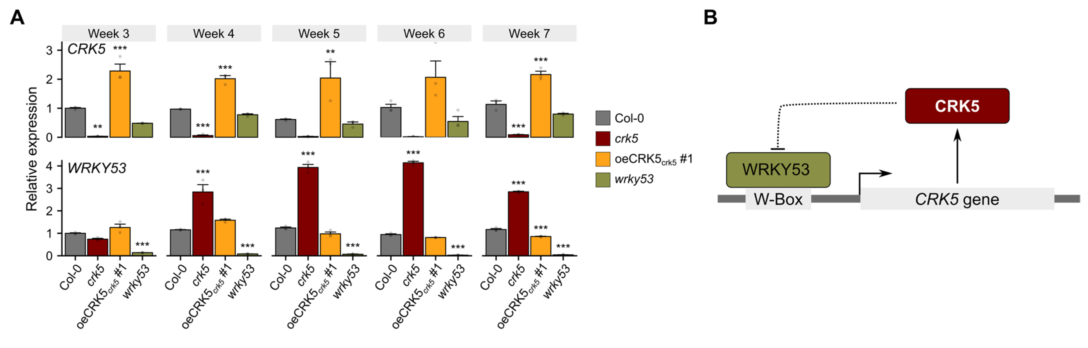 Cells 11 03558 g004 Cells 11 03558 g004