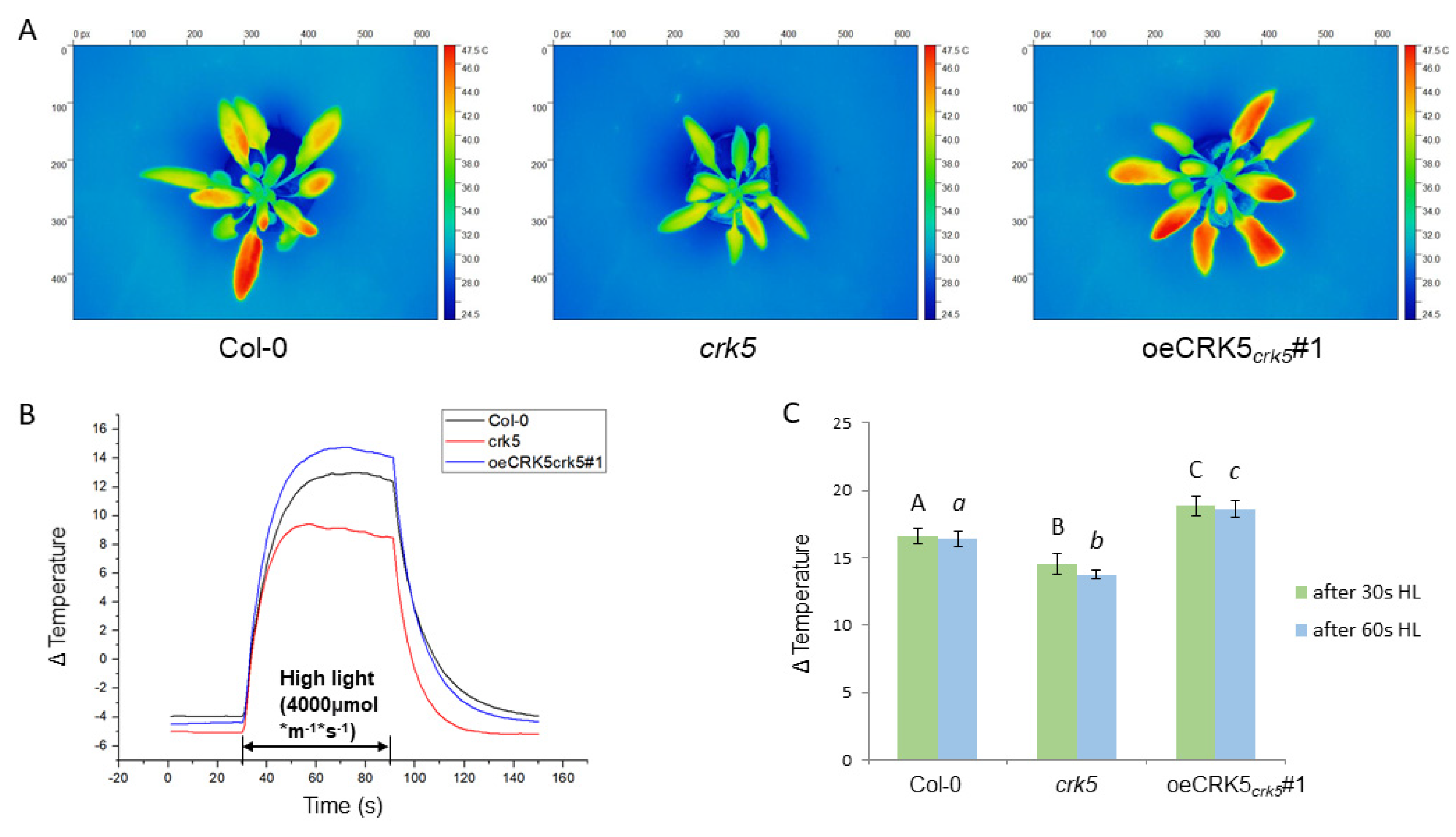 Cells 11 03558 g006 Cells 11 03558 g006