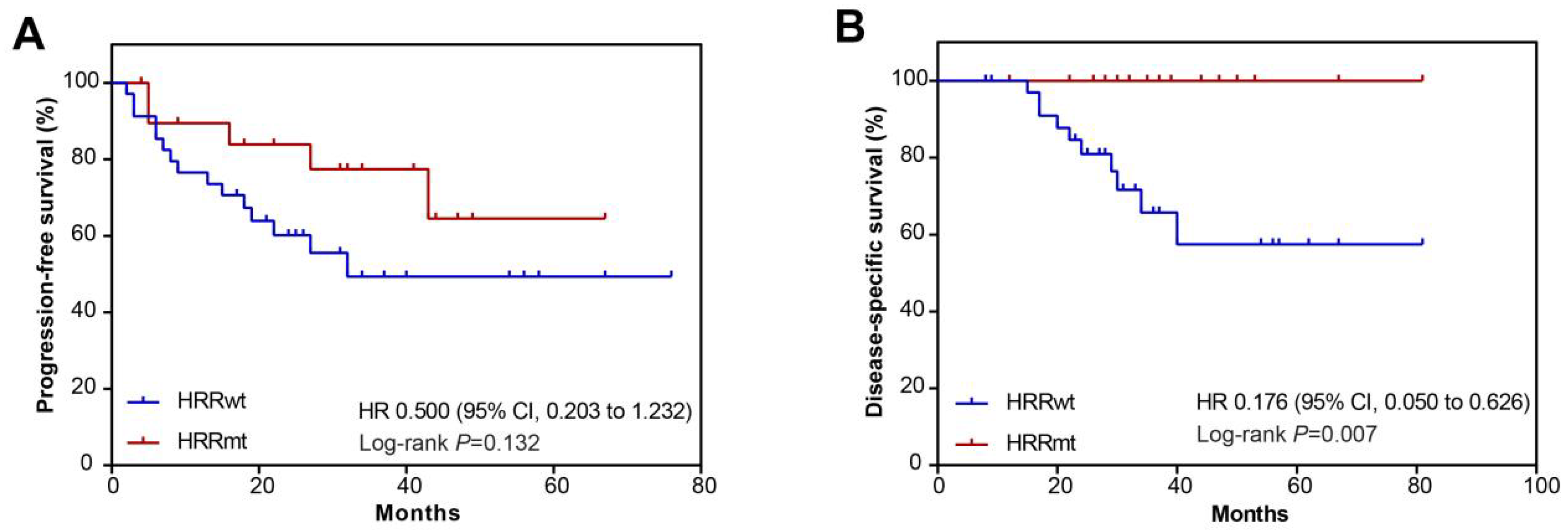 Cells 11 03563 g003 Cells 11 03563 g003