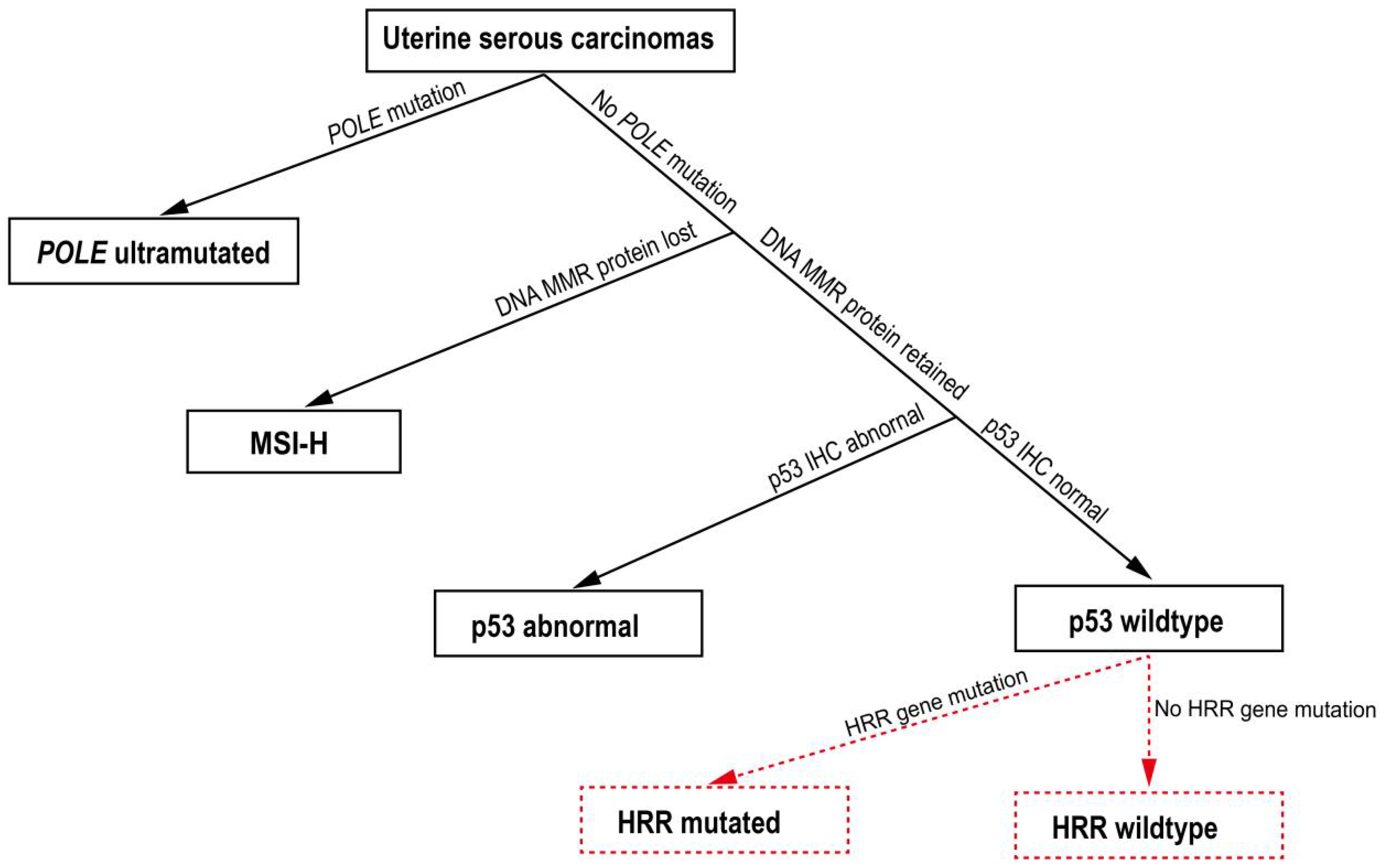 Cells 11 03563 g006 Cells 11 03563 g006
