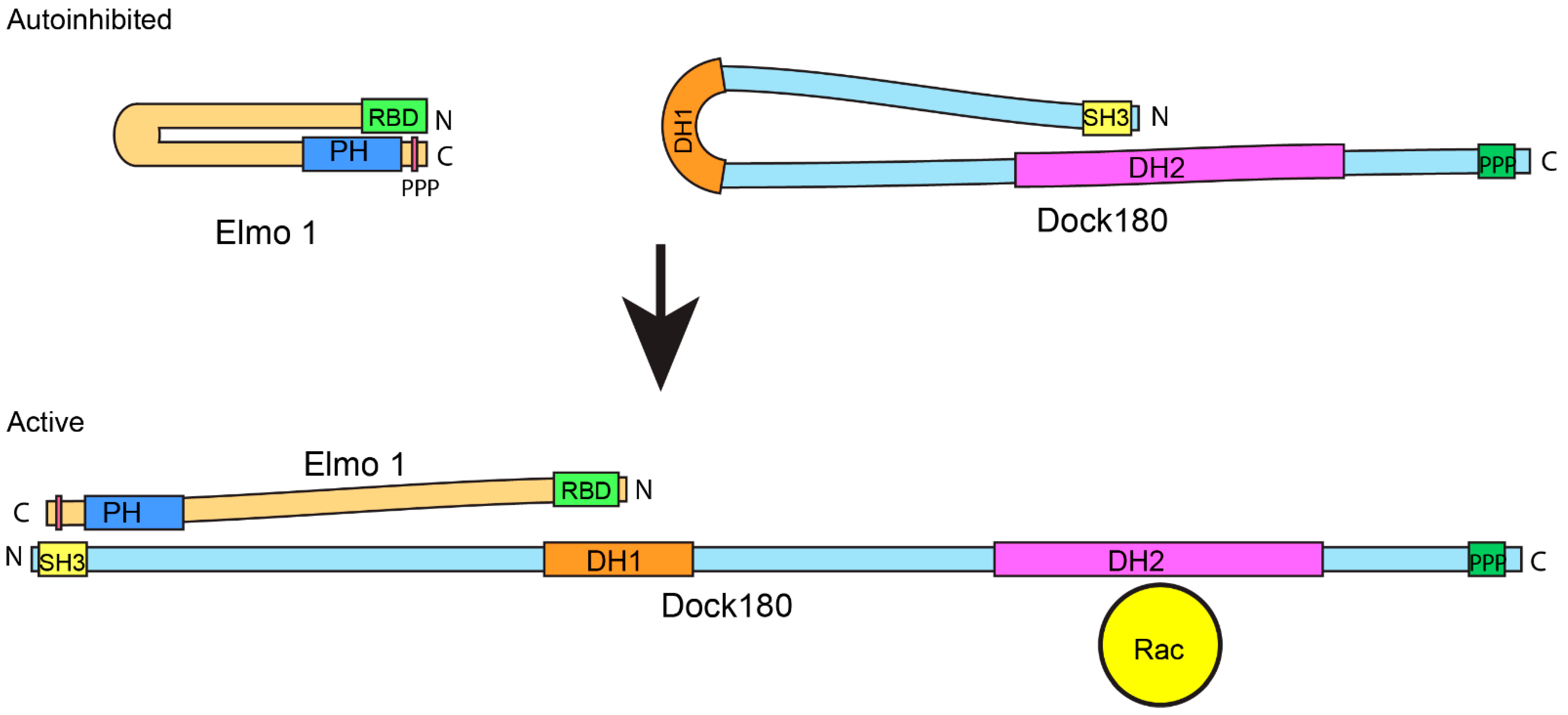Cells 11 03565 g002 Cells 11 03565 g002