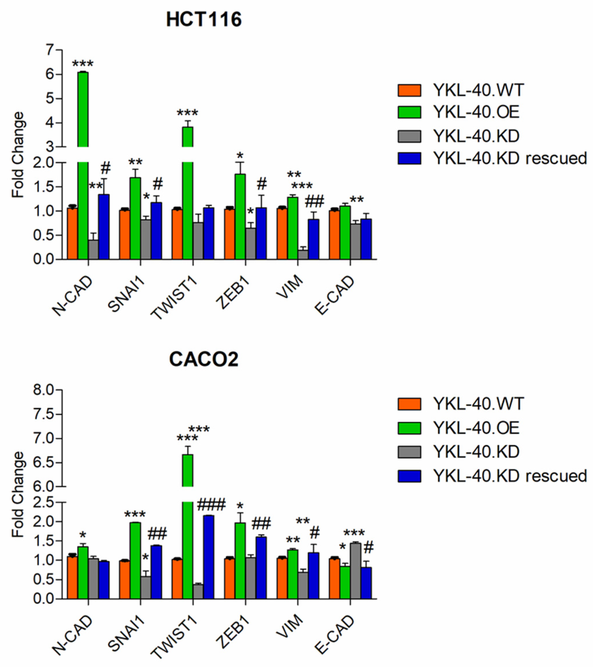 Cells 11 03568 g003 Cells 11 03568 g003