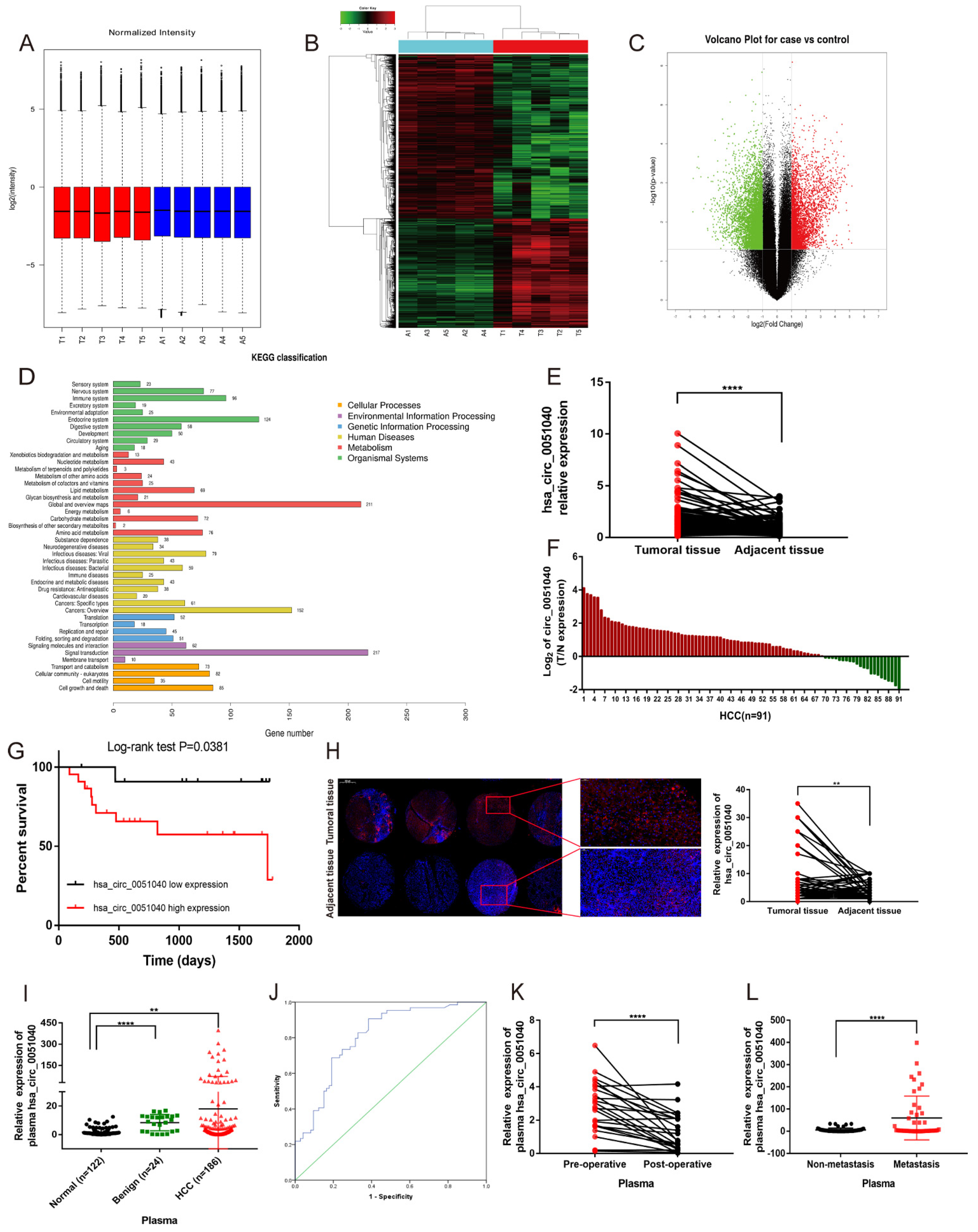Cells 11 03571 g001 Cells 11 03571 g001
