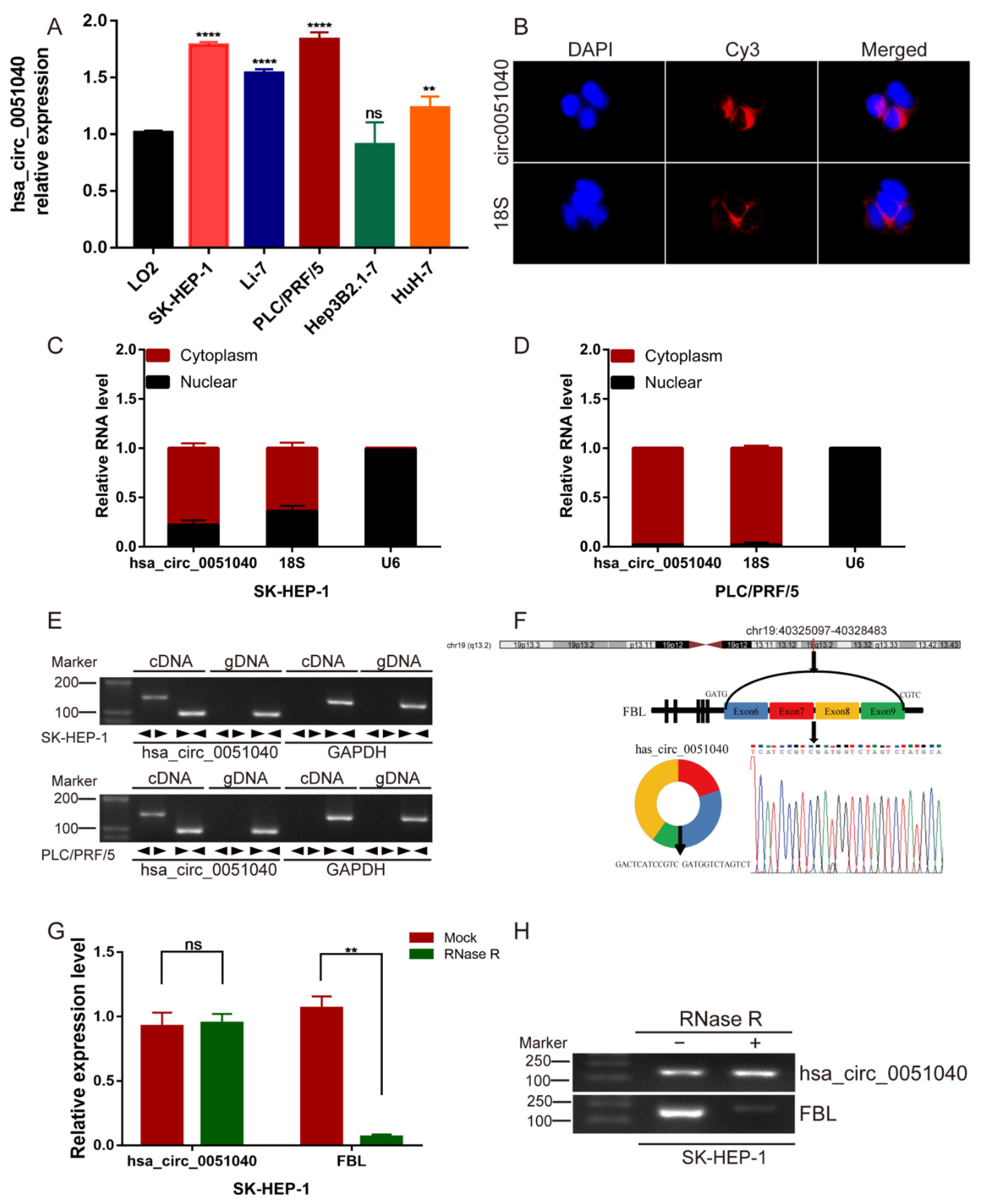 Cells 11 03571 g002 Cells 11 03571 g002