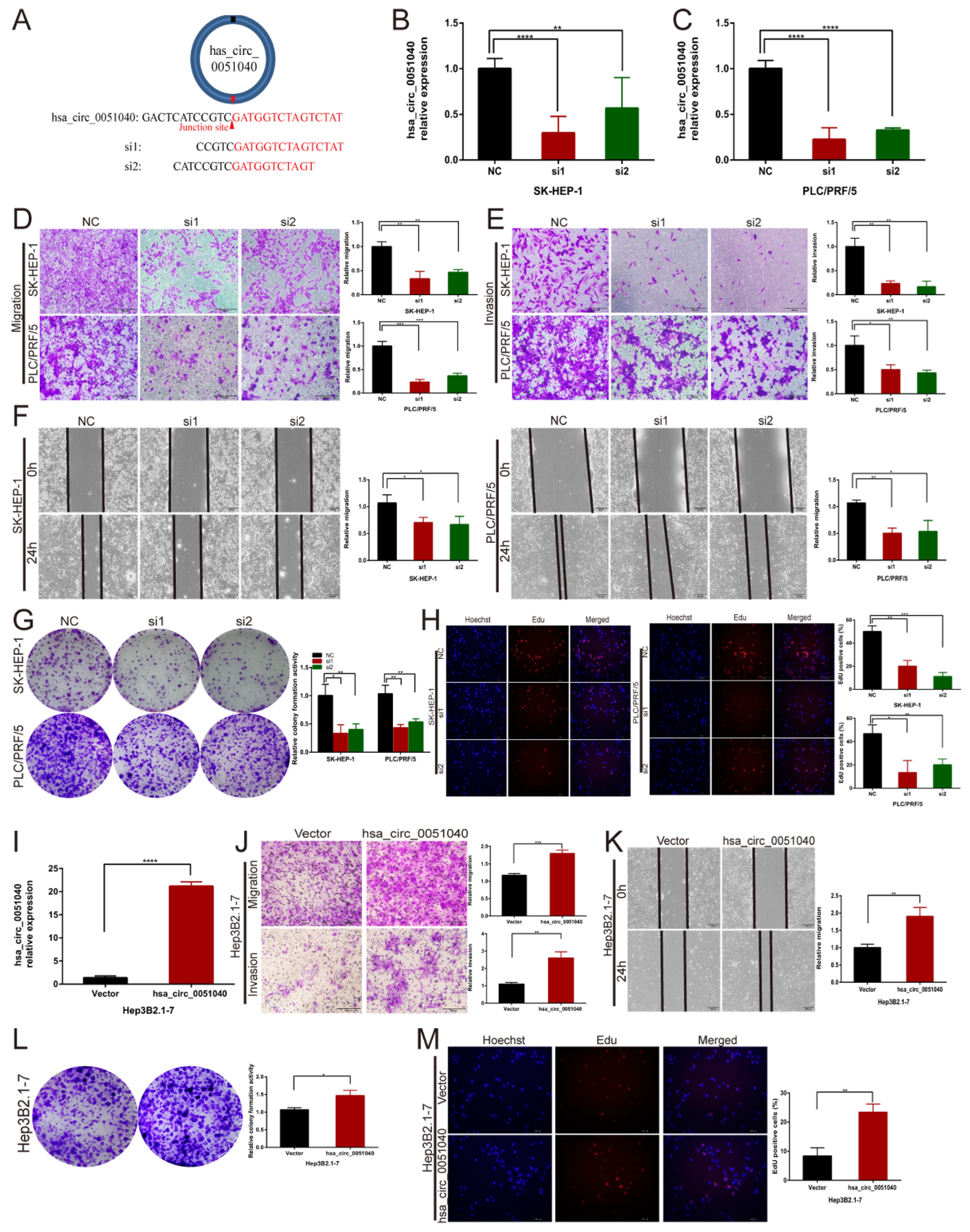 Cells 11 03571 g003 Cells 11 03571 g003