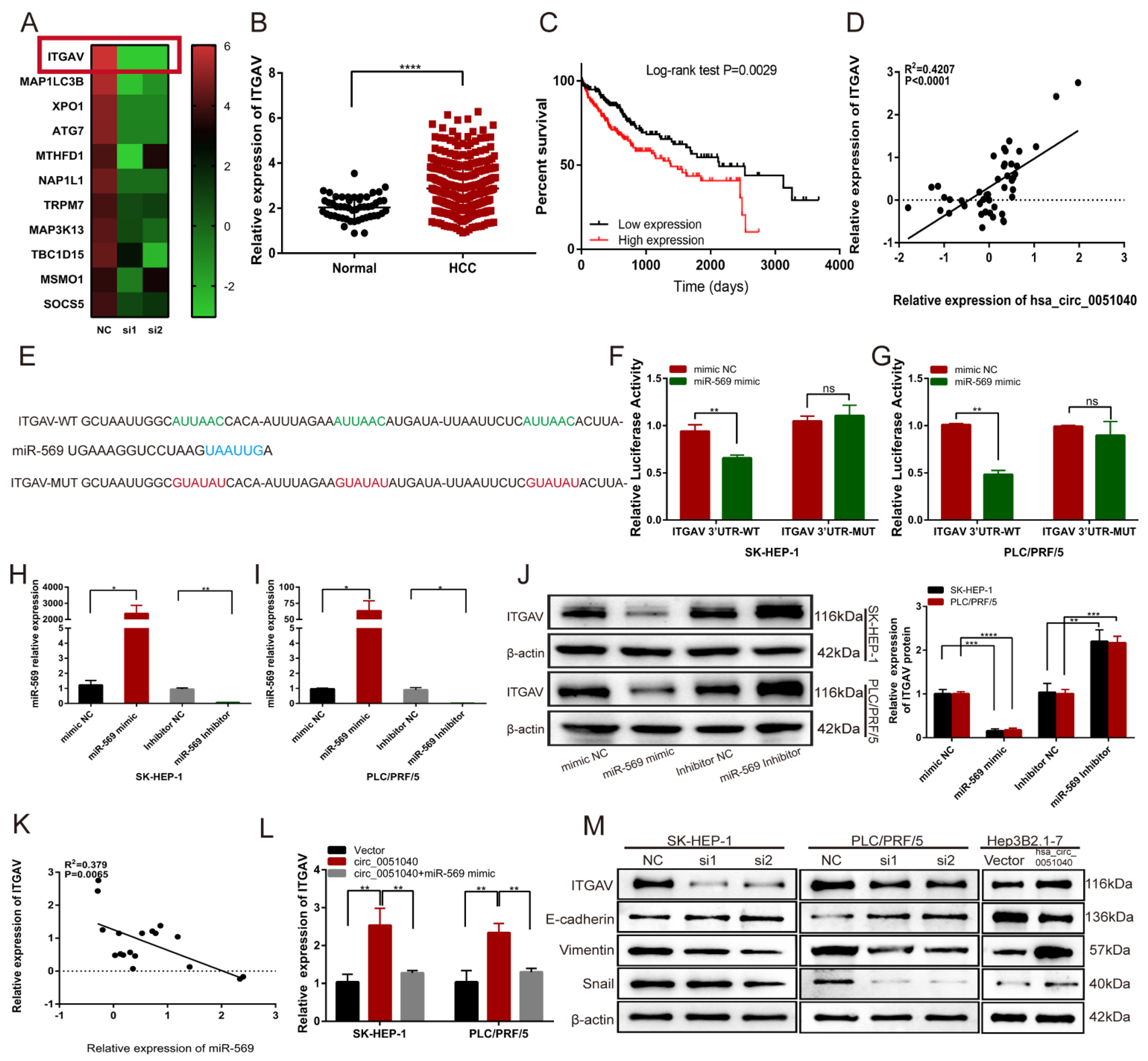 Cells 11 03571 g005 Cells 11 03571 g005