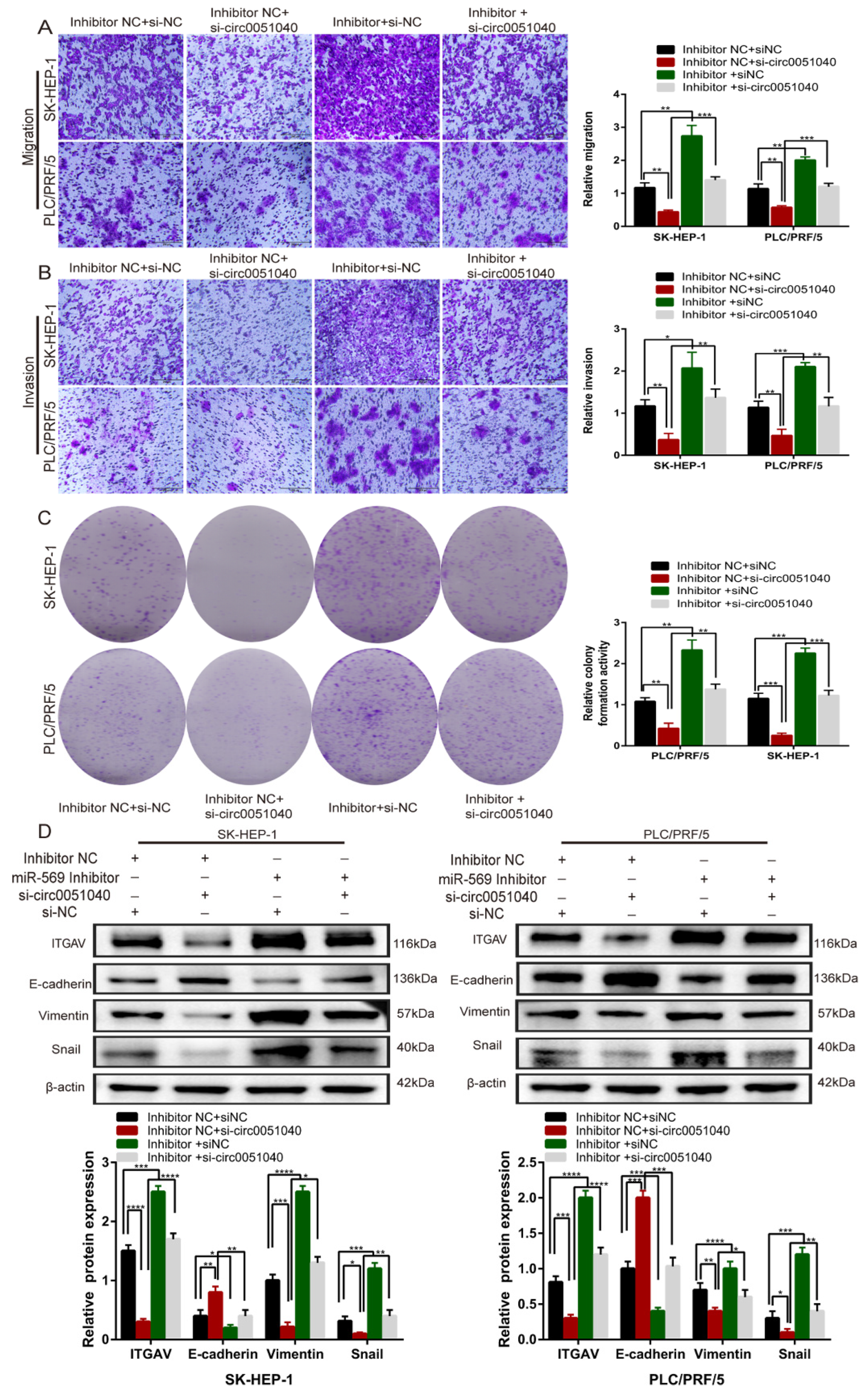 Cells 11 03571 g006 Cells 11 03571 g006