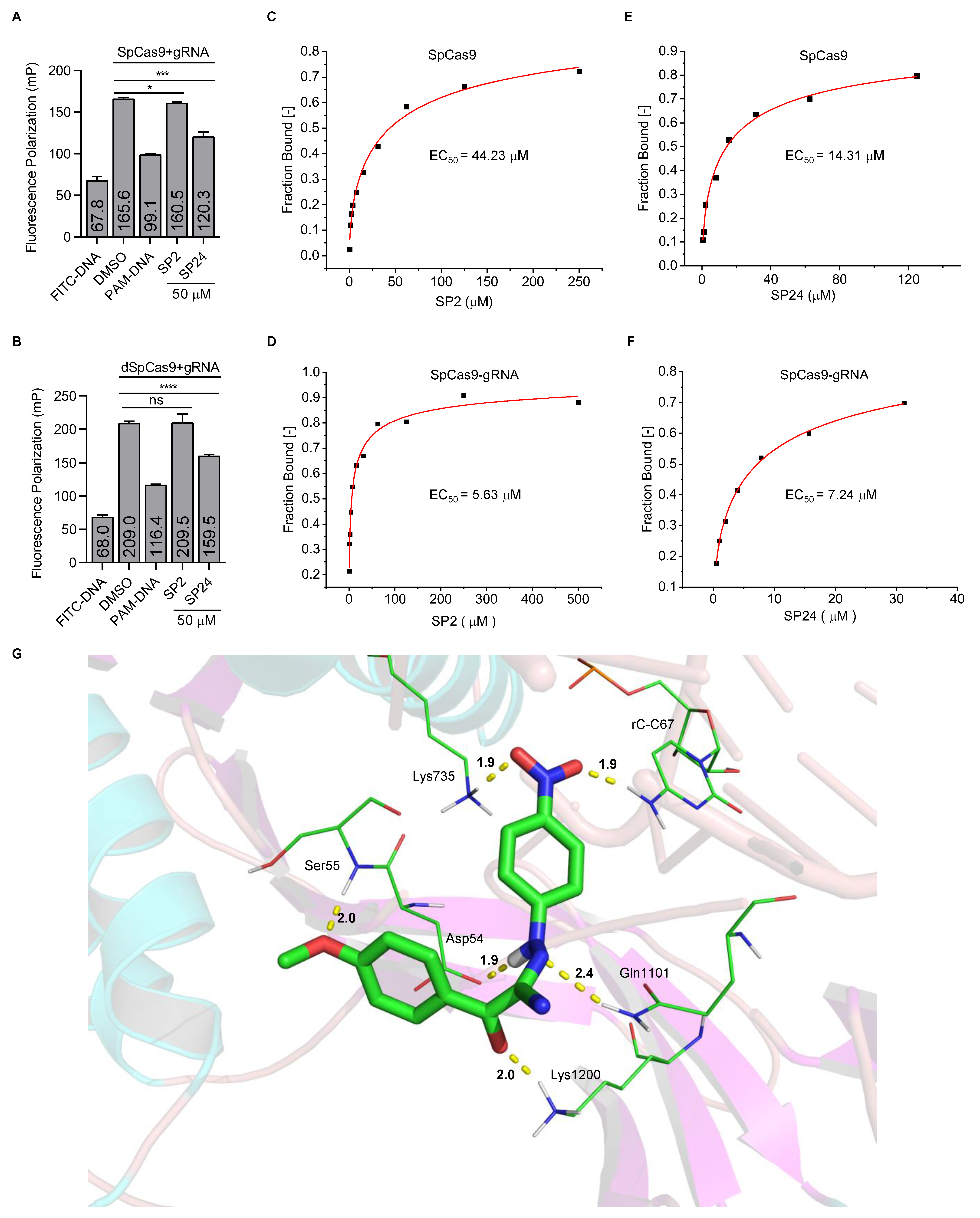 Cells 11 03574 g005 Cells 11 03574 g005