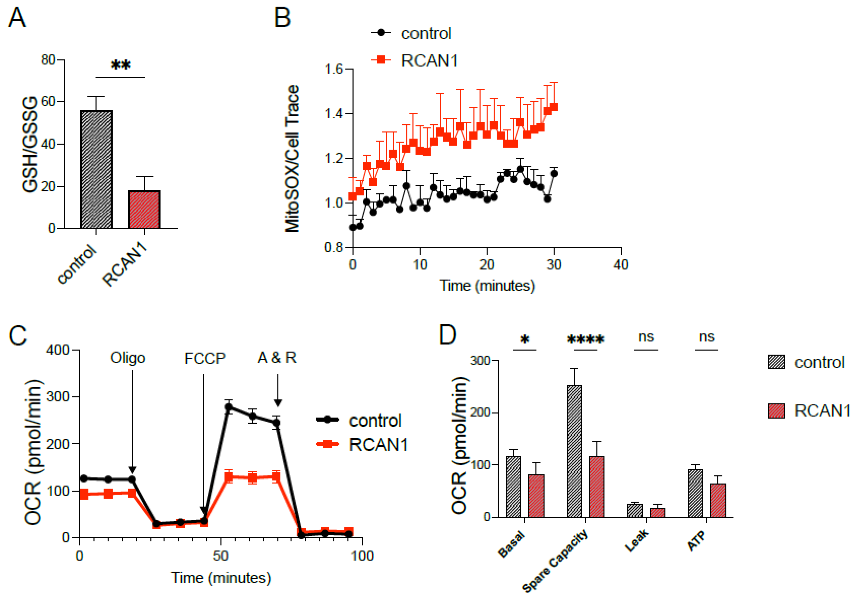 Cells 11 03576 g003a