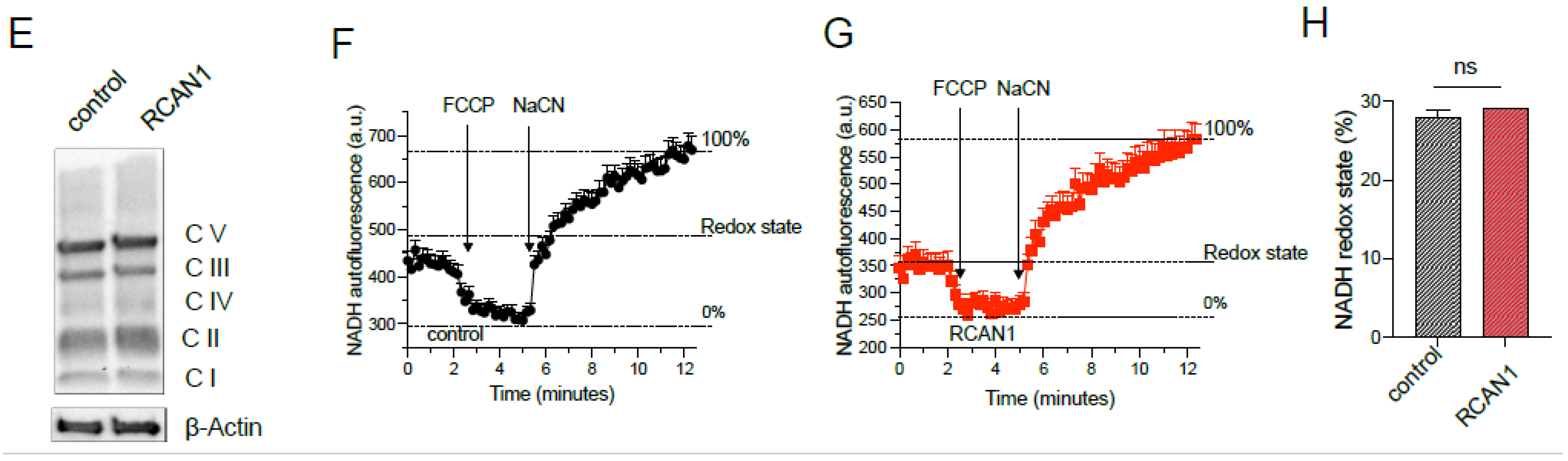Cells 11 03576 g003b