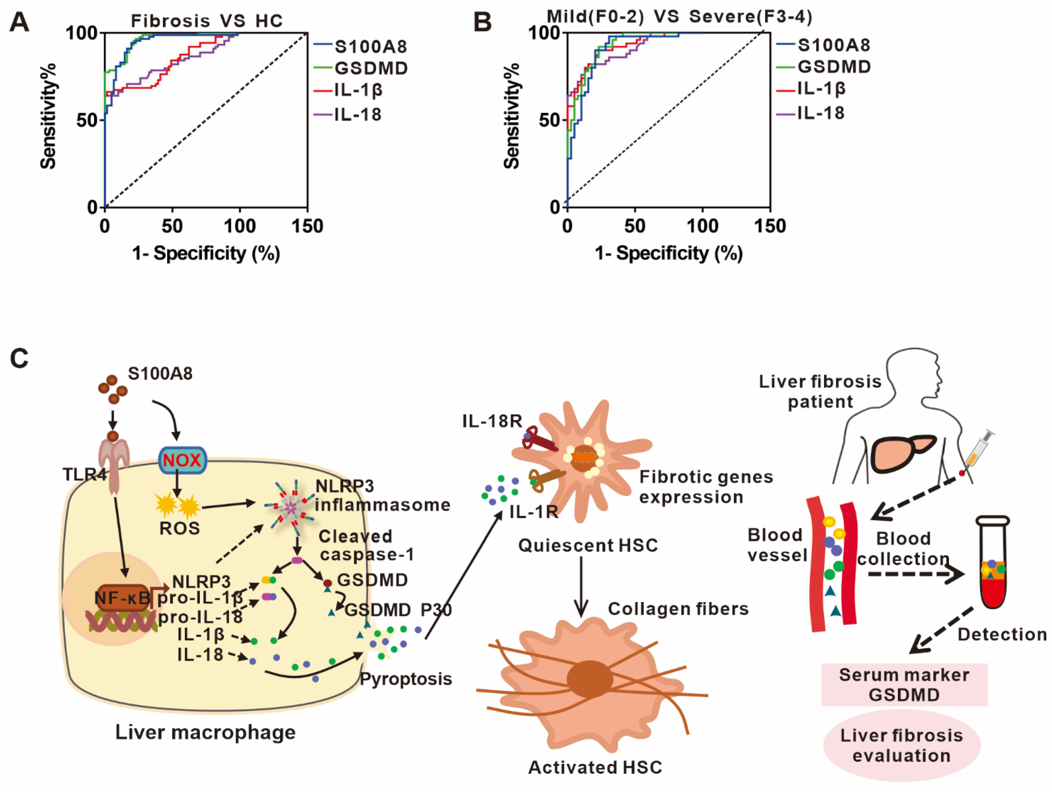 Cells 11 03579 g006 Cells 11 03579 g006